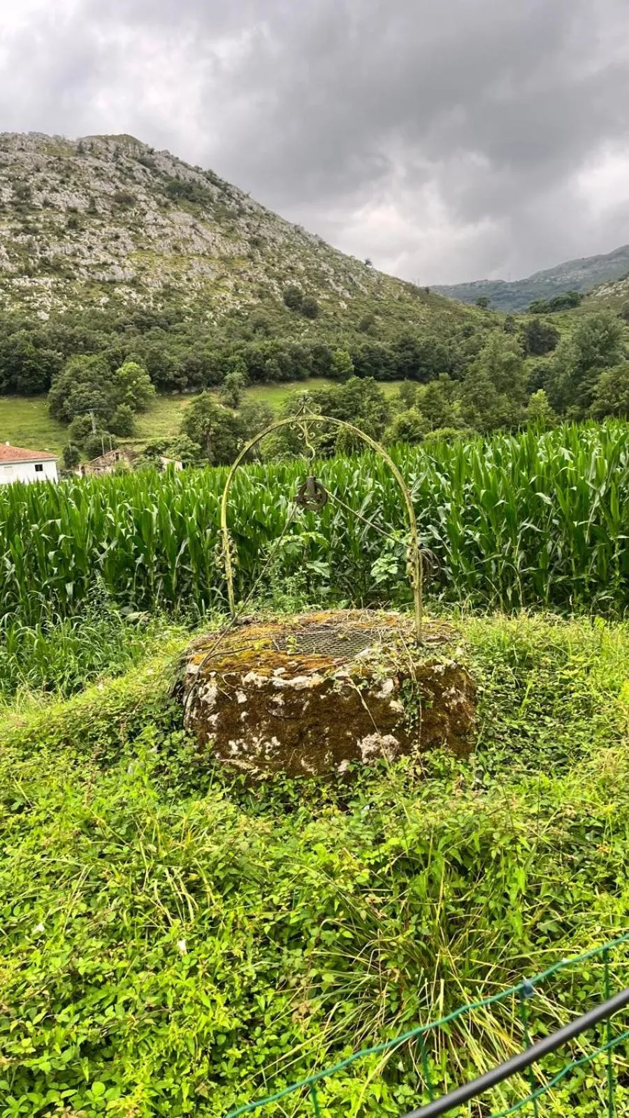 Other in Hotel Boutique Villa de Palacios - Palacio de Aras