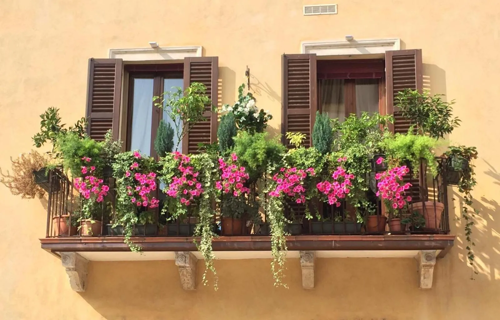 Property building in B&B Mela