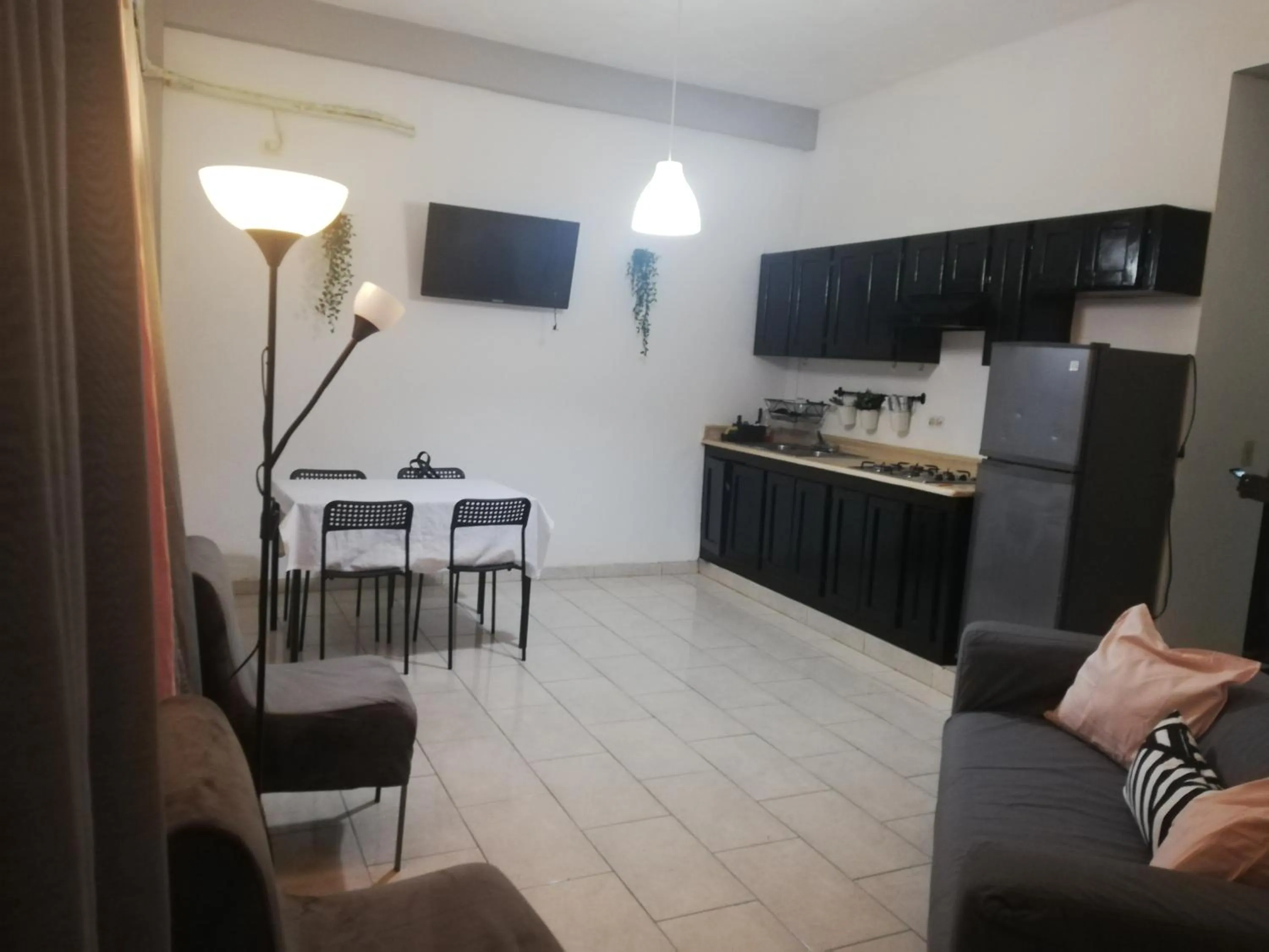 Kitchen or kitchenette in Aparthotel Genova