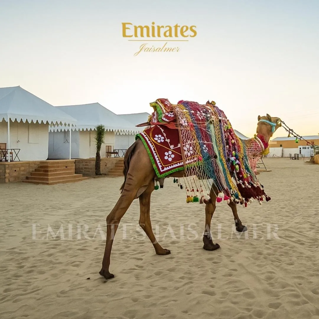 Day in Emirates Luxury Desert Camps