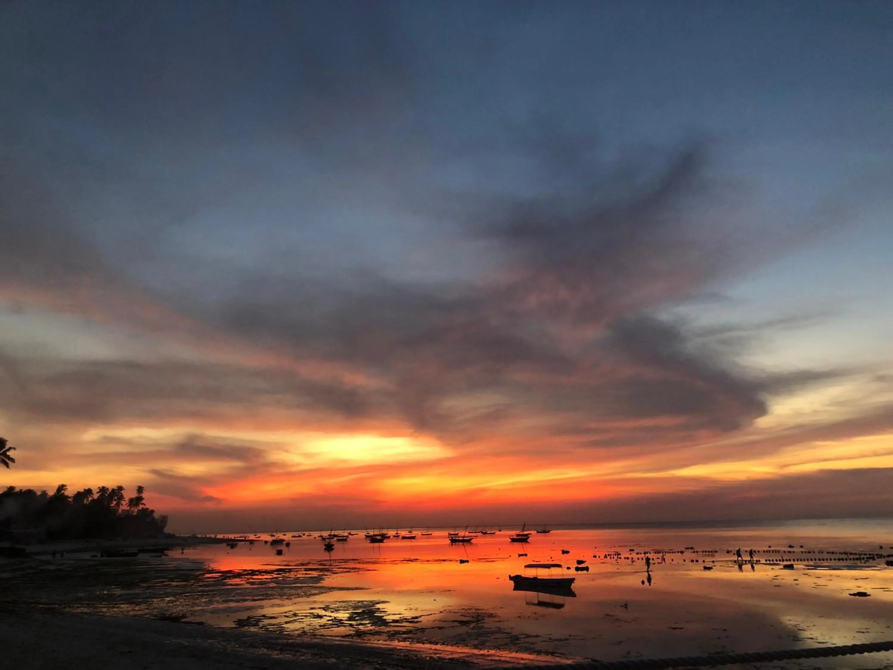 Beach in Aluna Beach Apartments