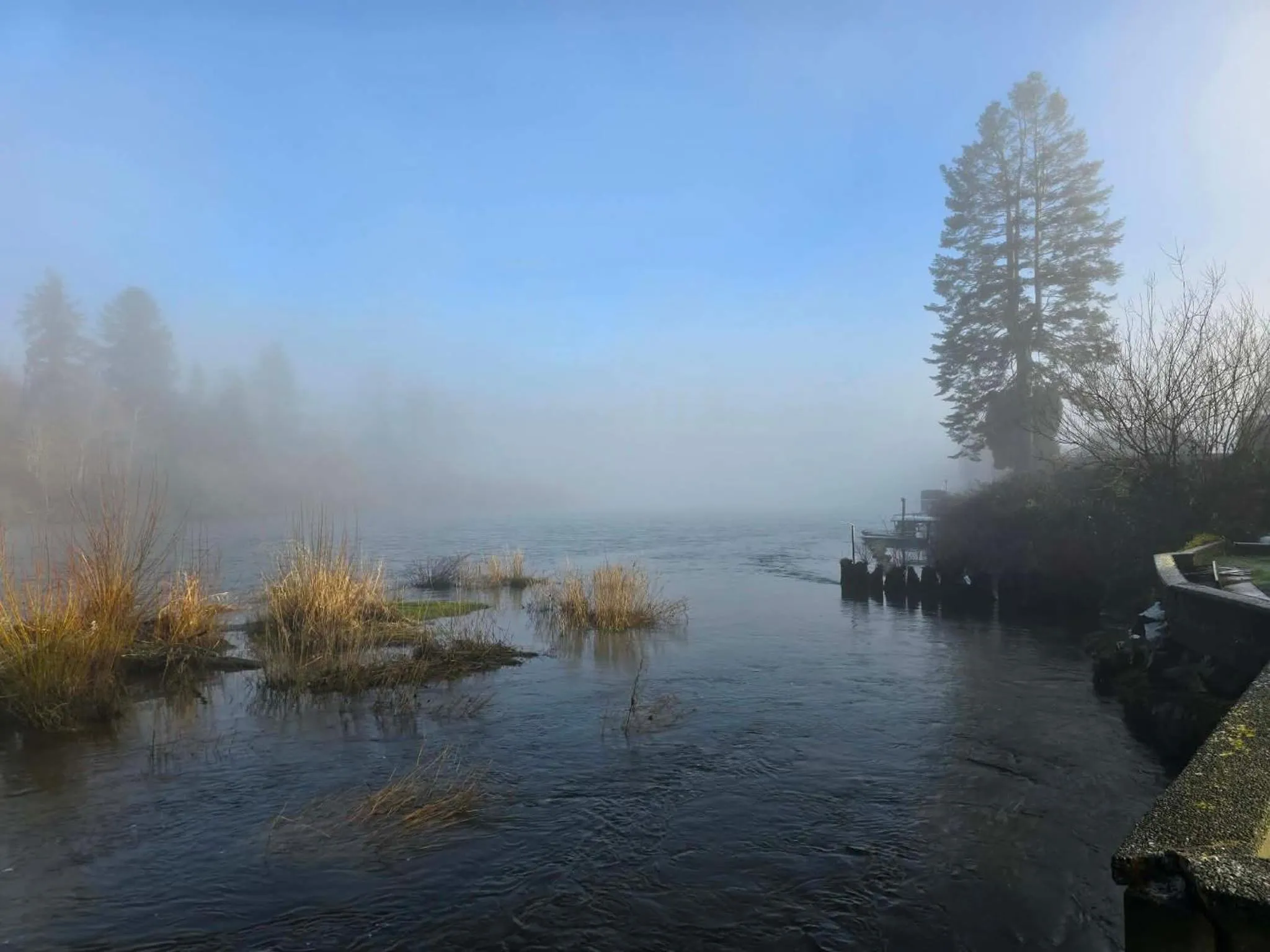 Restaurant/places to eat in Campbell River Lodge