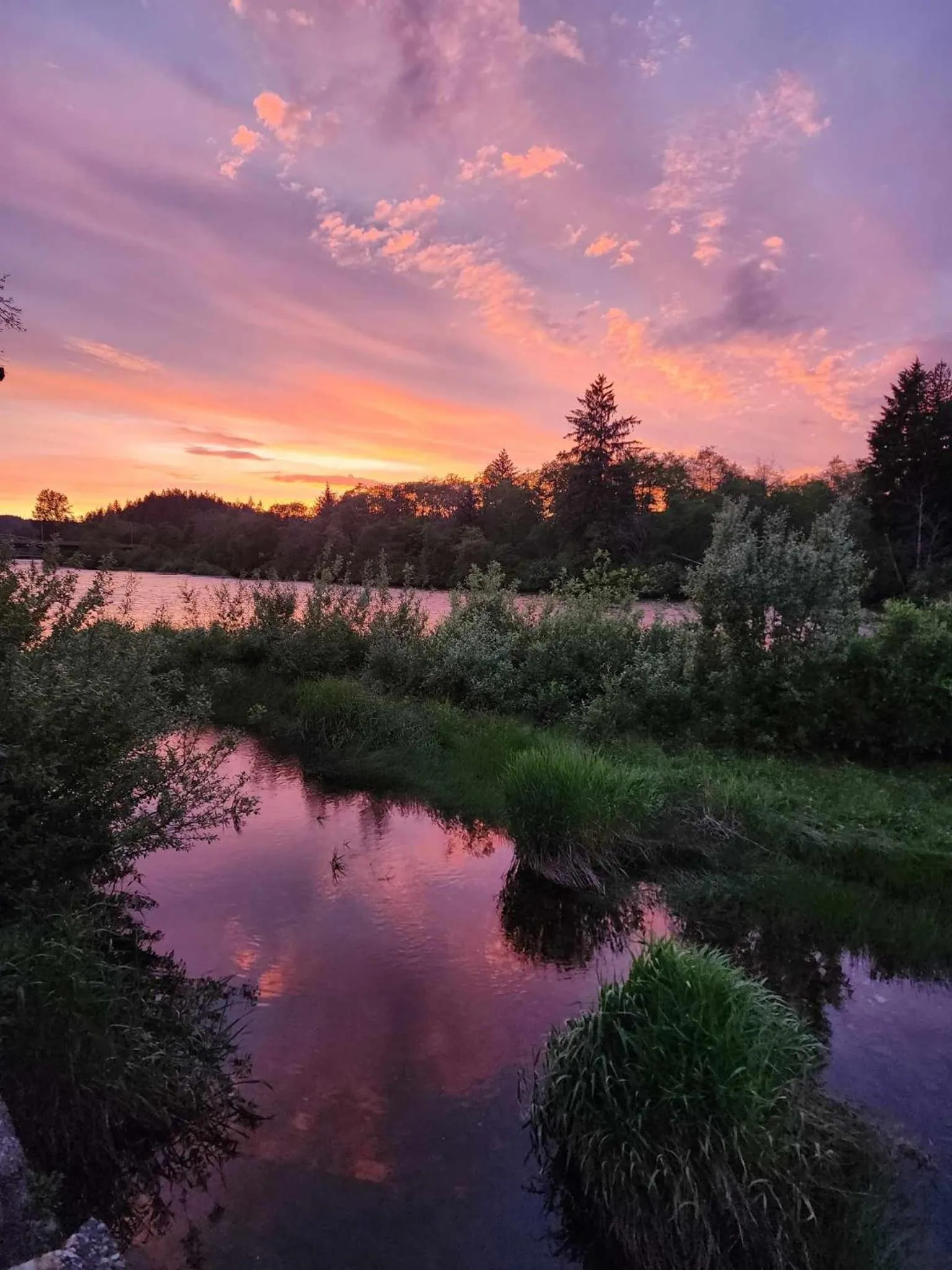 River view in Campbell River Lodge