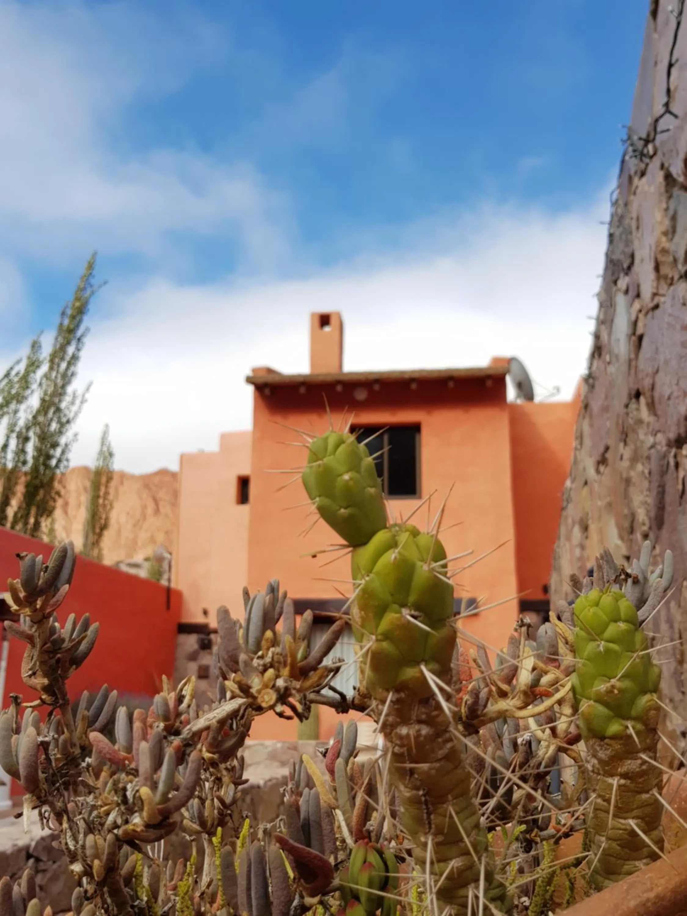 Colores de Purmamarca