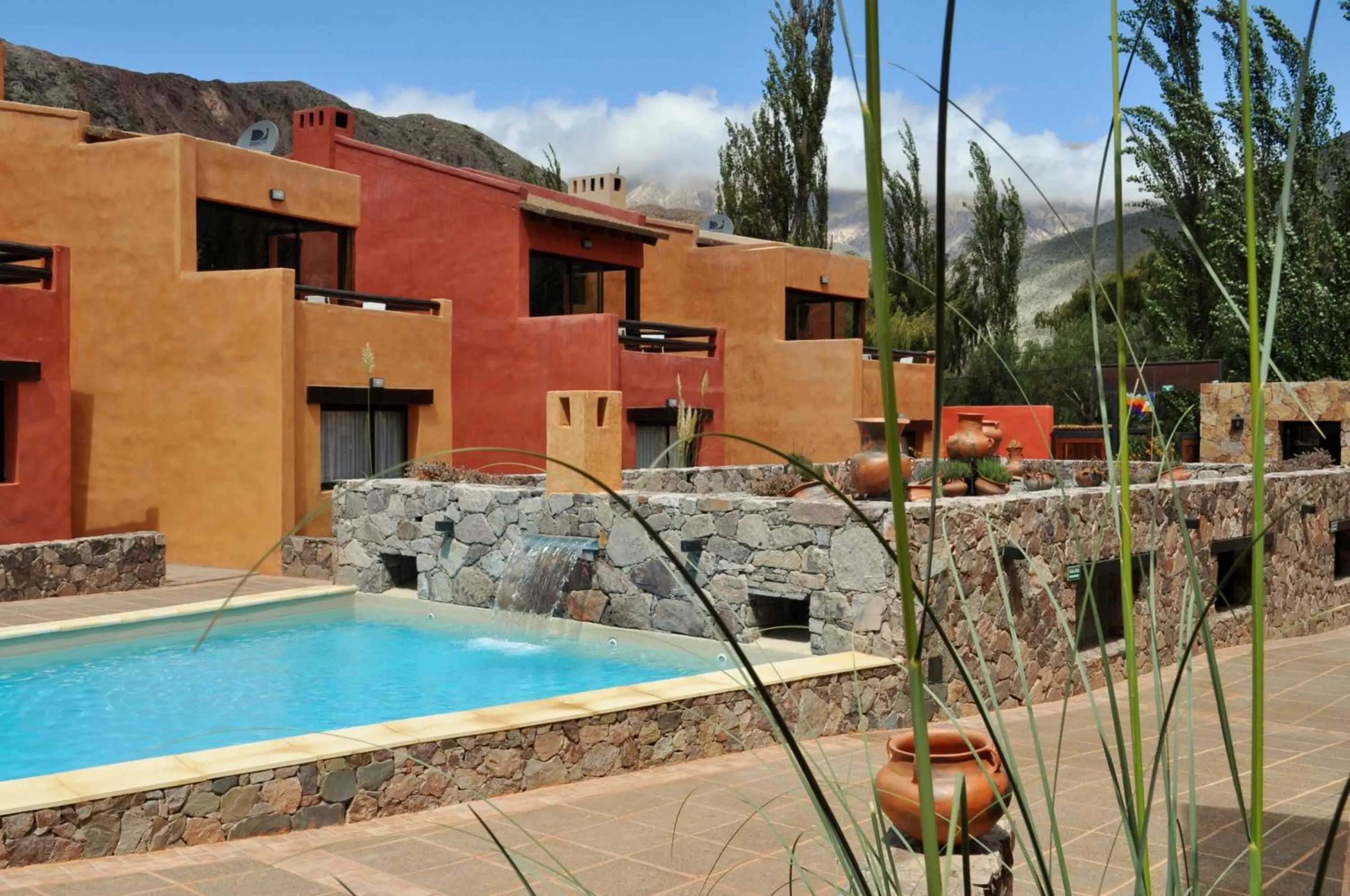 Garden in Colores de Purmamarca
