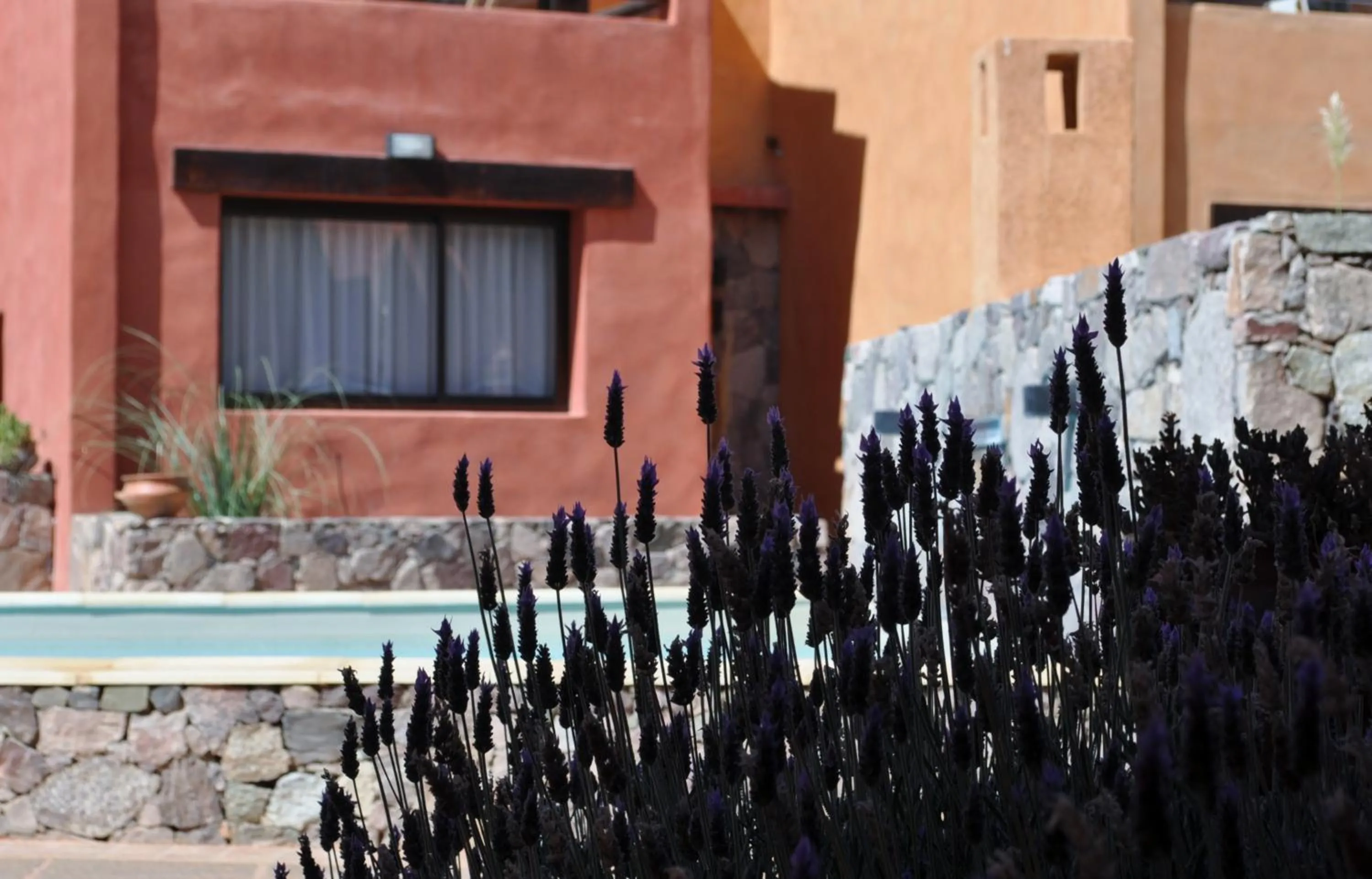 Garden view in Colores de Purmamarca