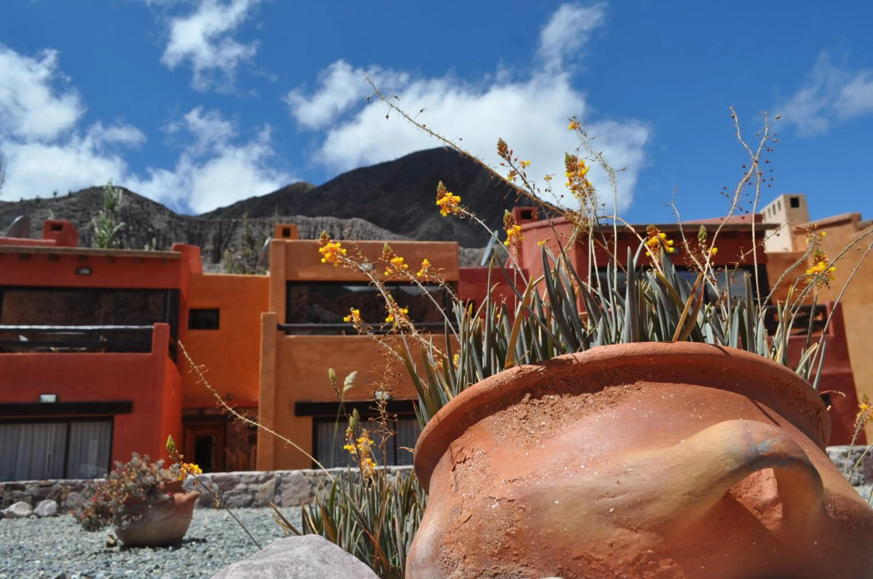 Garden view in Colores de Purmamarca