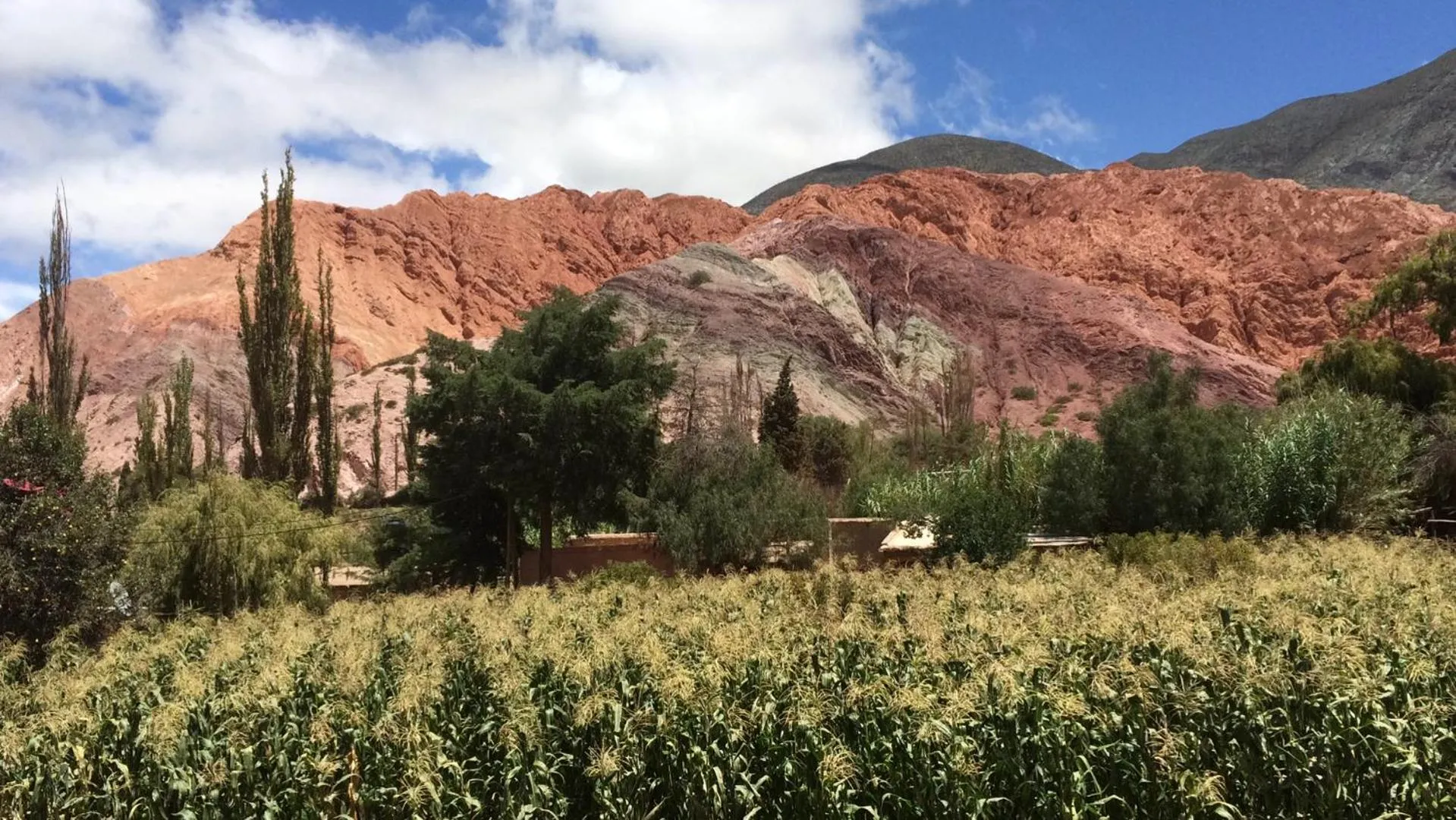 Colores de Purmamarca