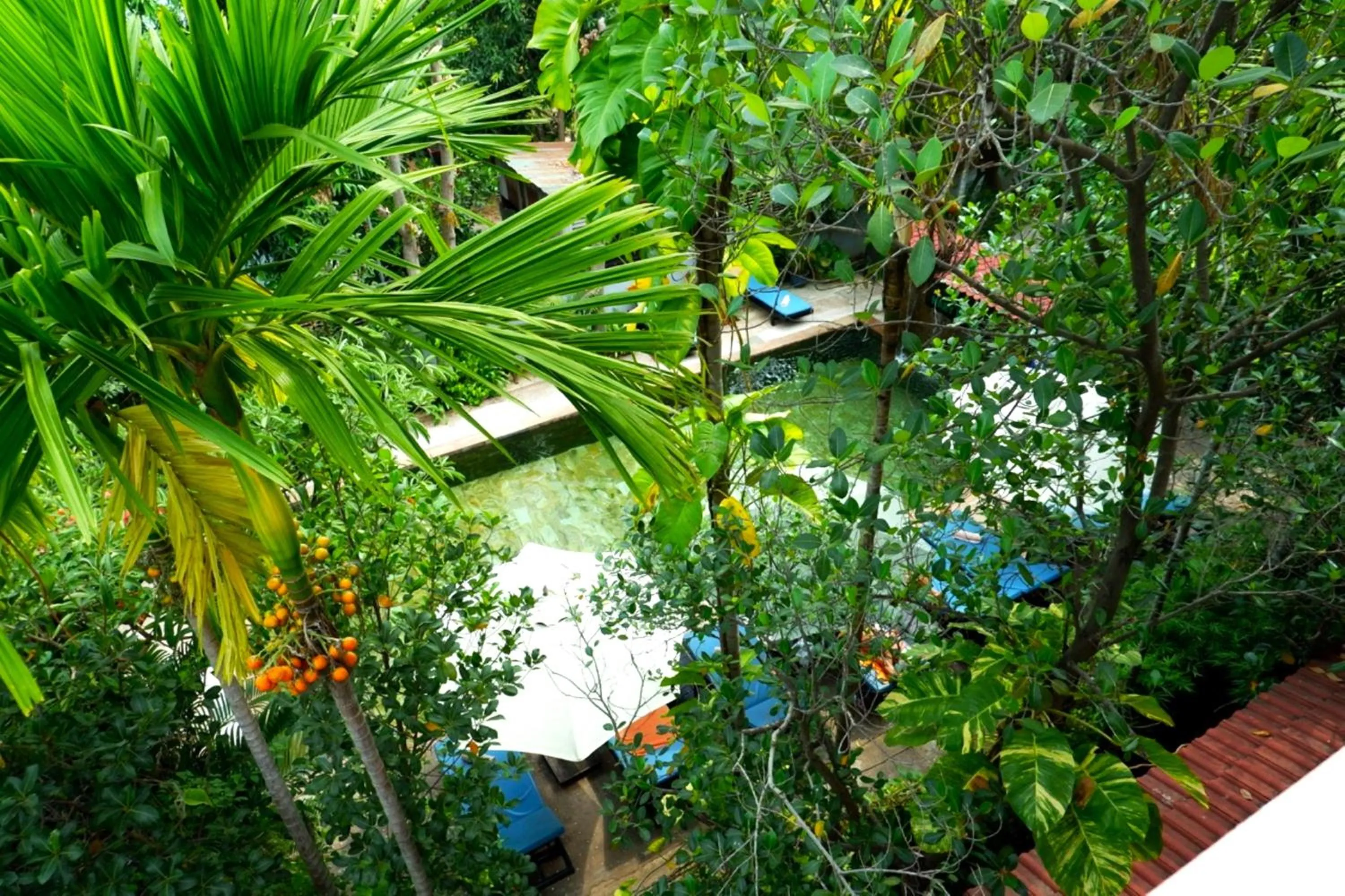 Garden view in Nary Villa