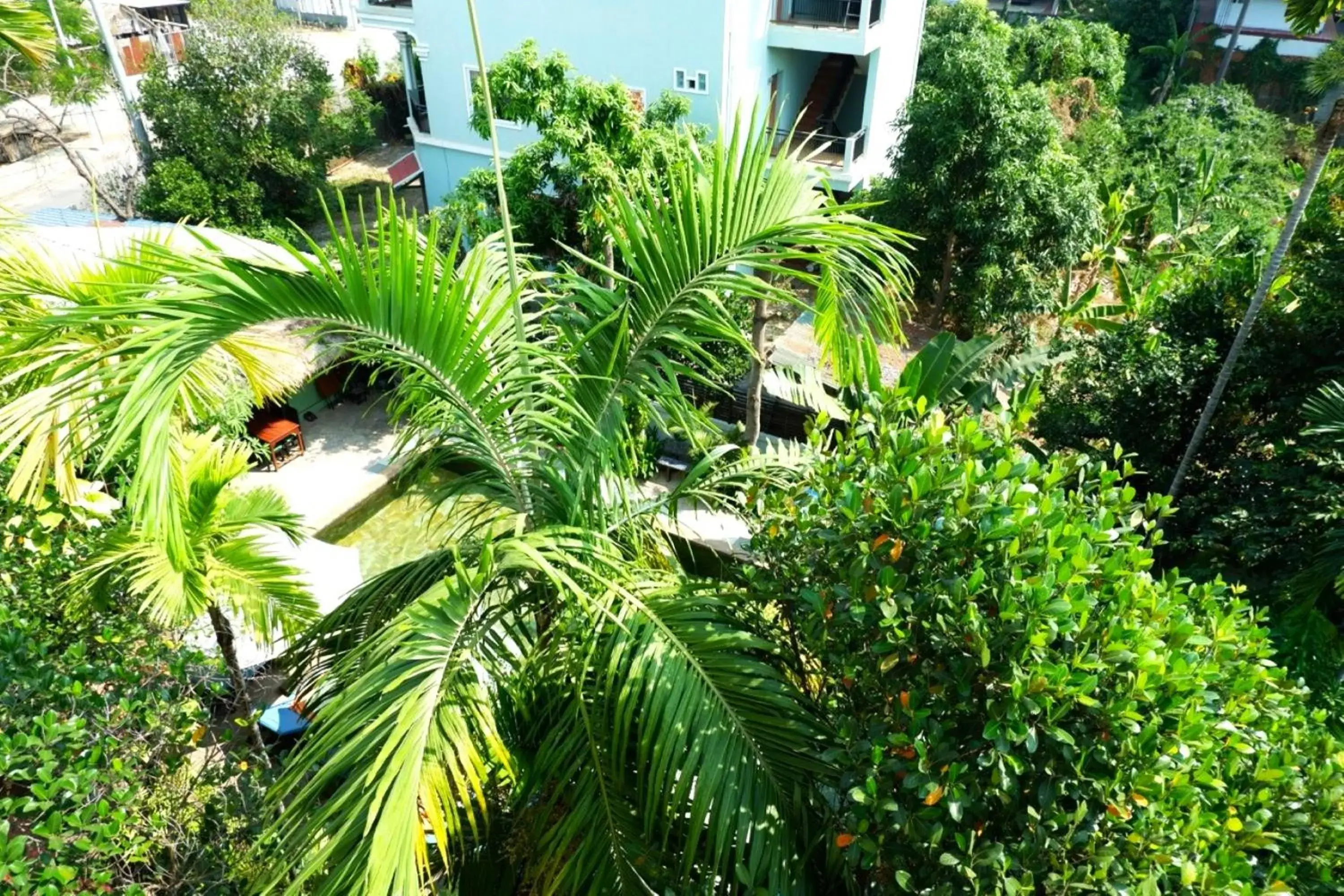 Garden view in Nary Villa Garden view in Nary Villa