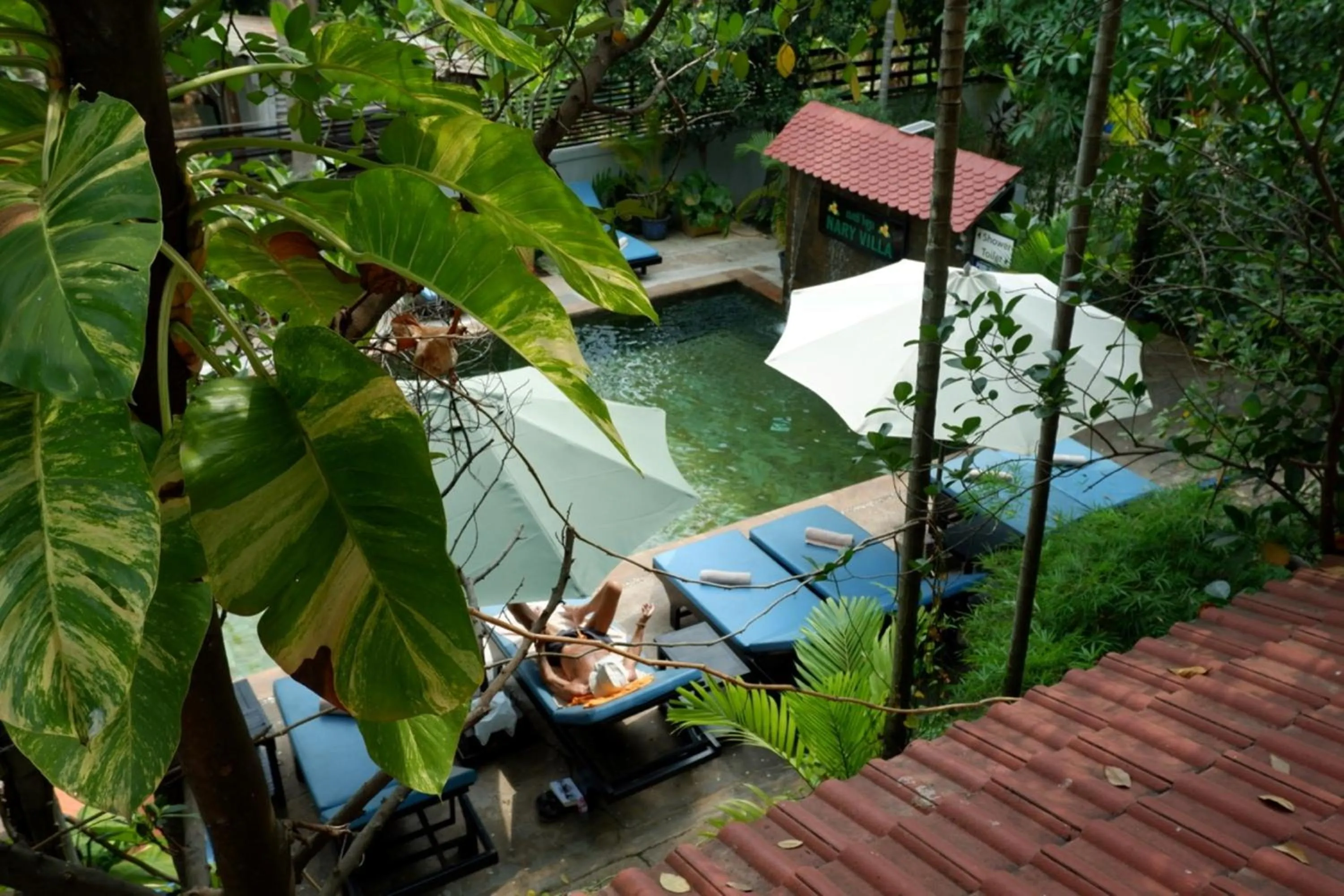Swimming pool in Nary Villa