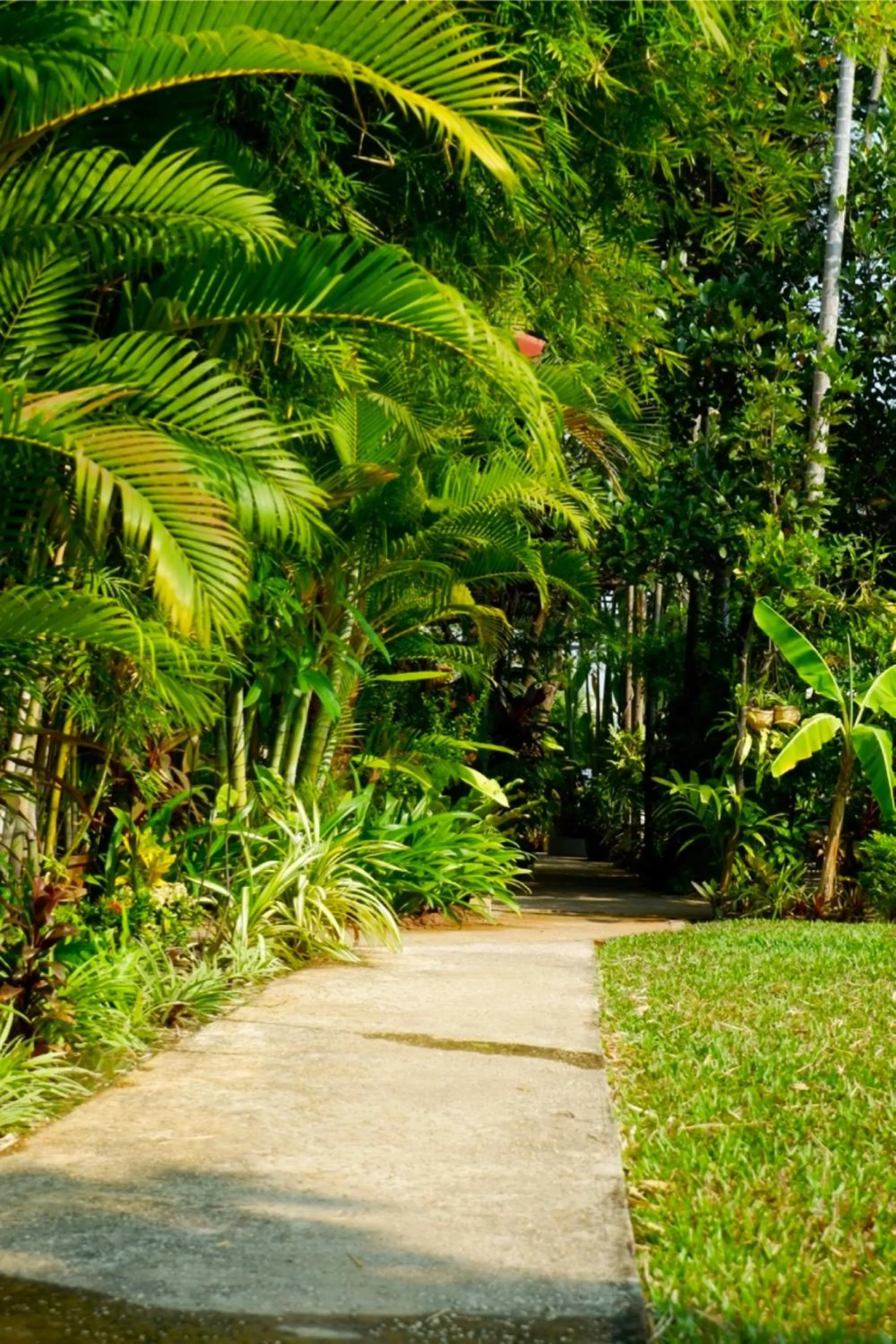 Garden in Nary Villa