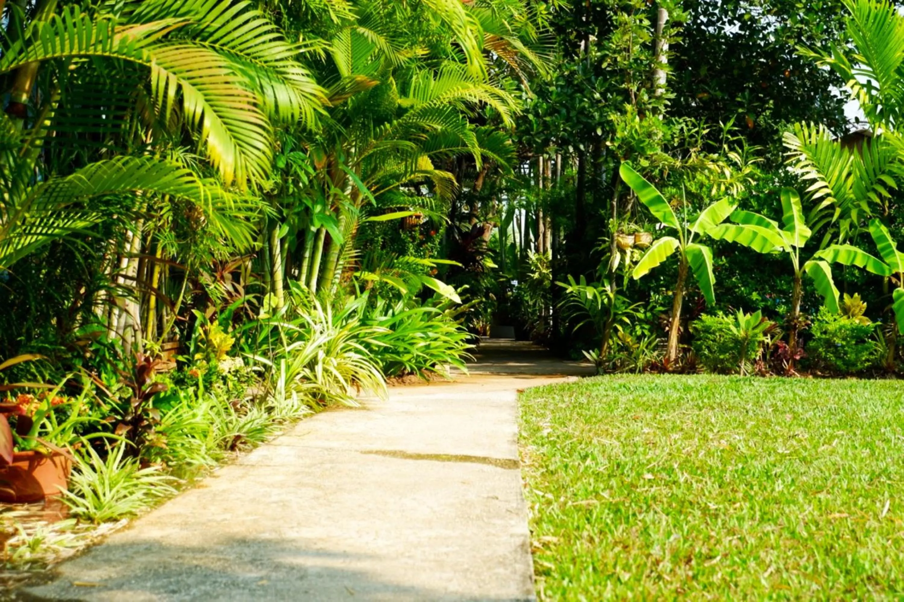Garden in Nary Villa