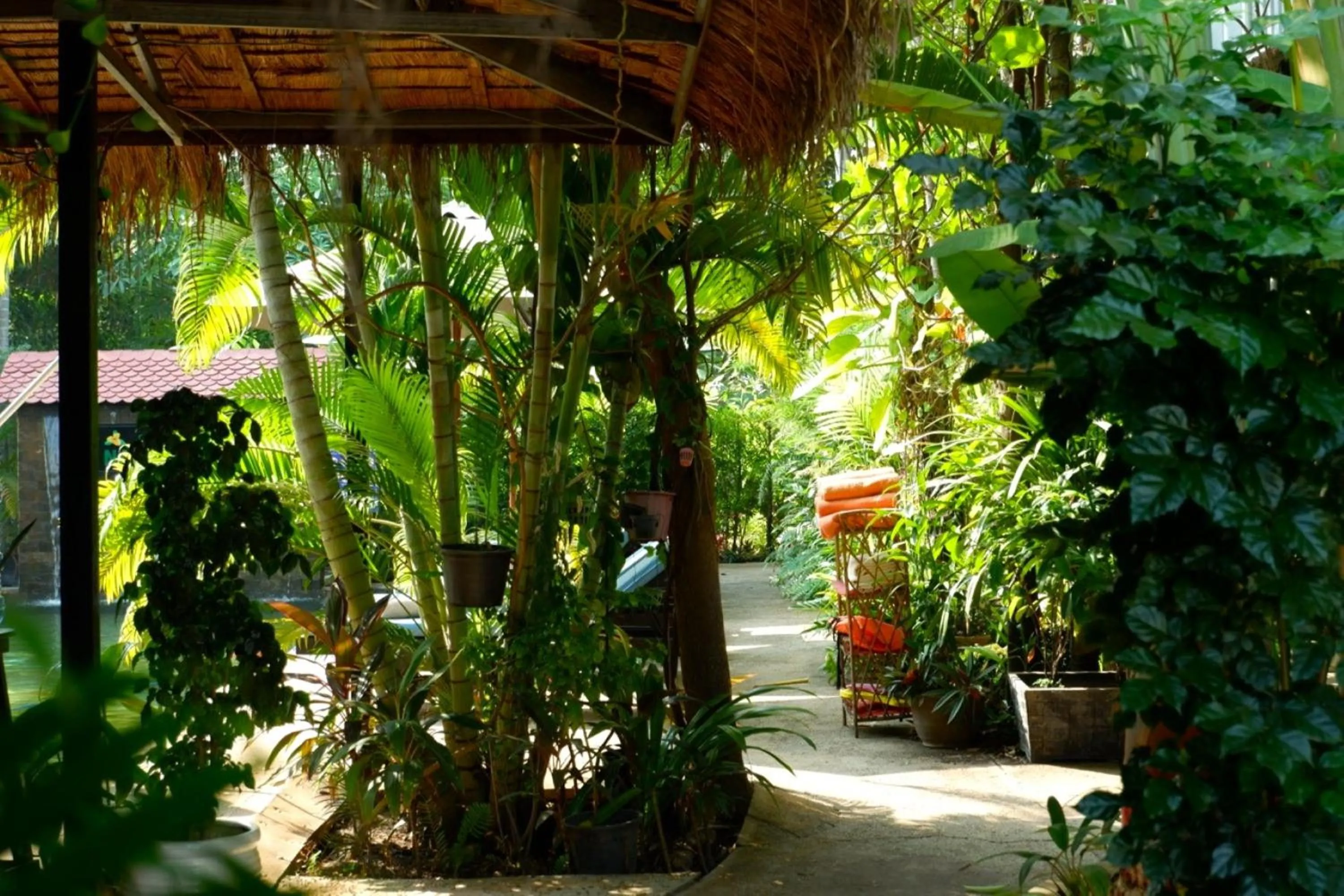 Garden in Nary Villa