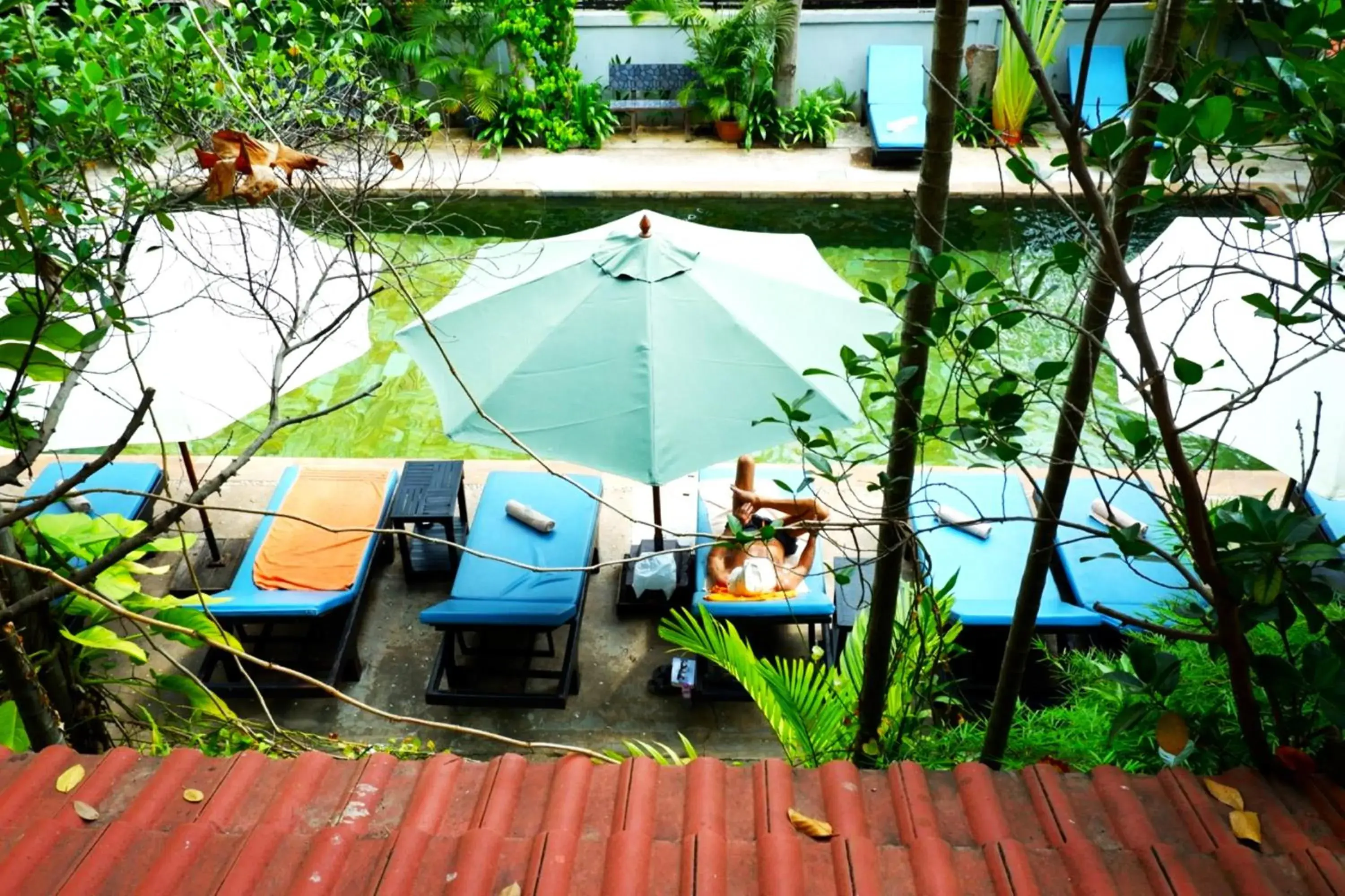 Garden view in Nary Villa Garden view in Nary Villa