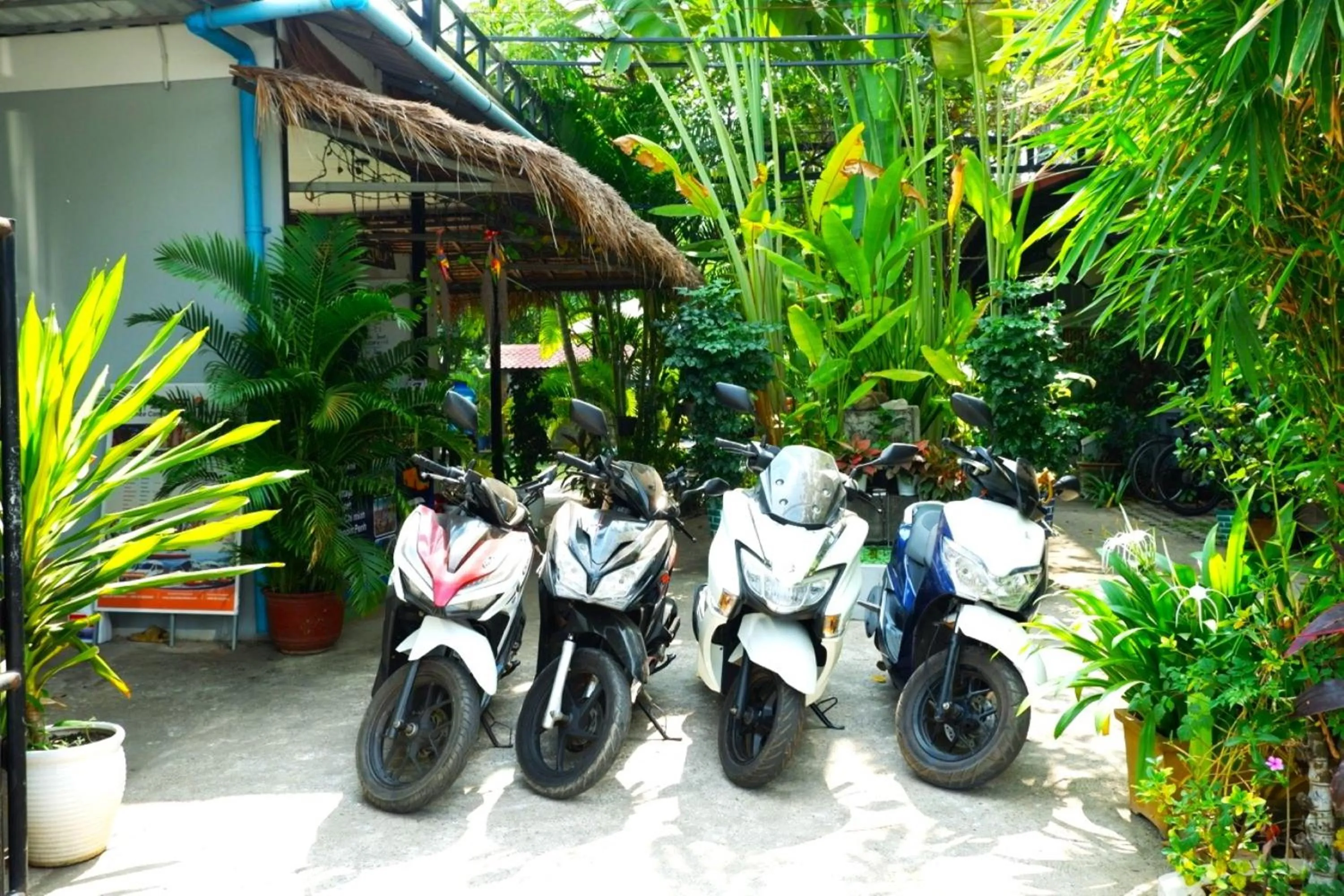 Cycling in Nary Villa