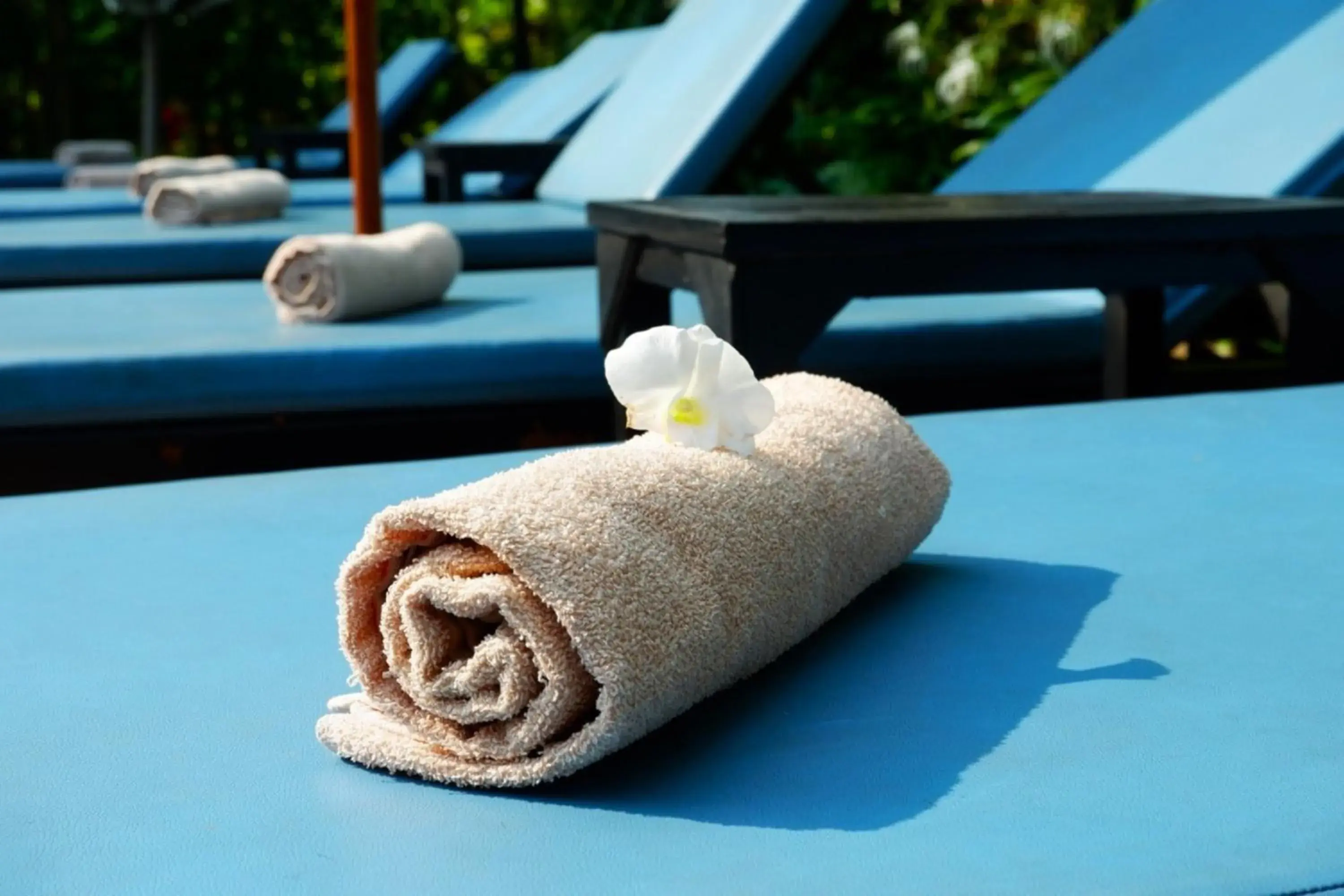 sunbed in Nary Villa sunbed in Nary Villa