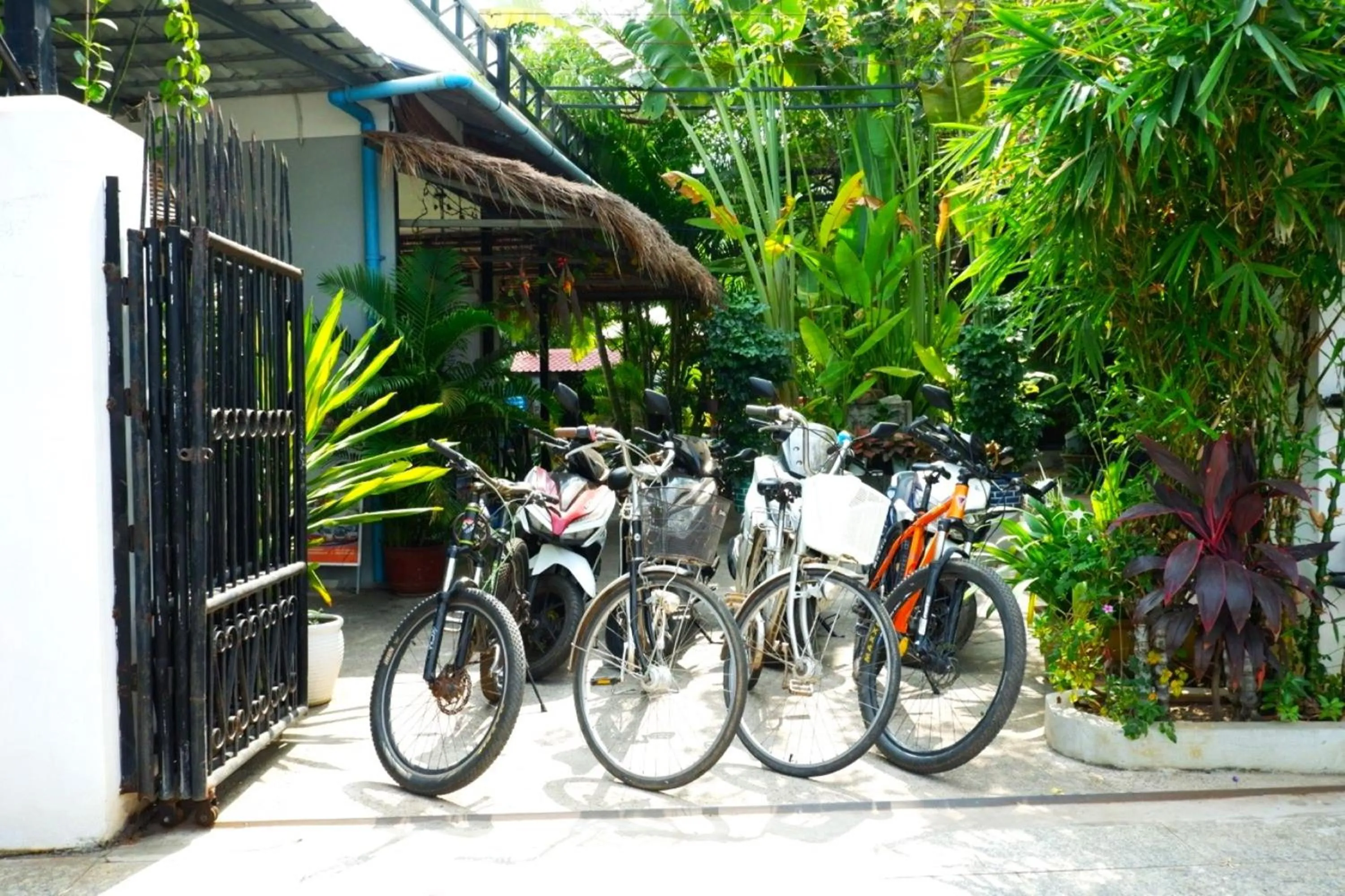 Cycling in Nary Villa