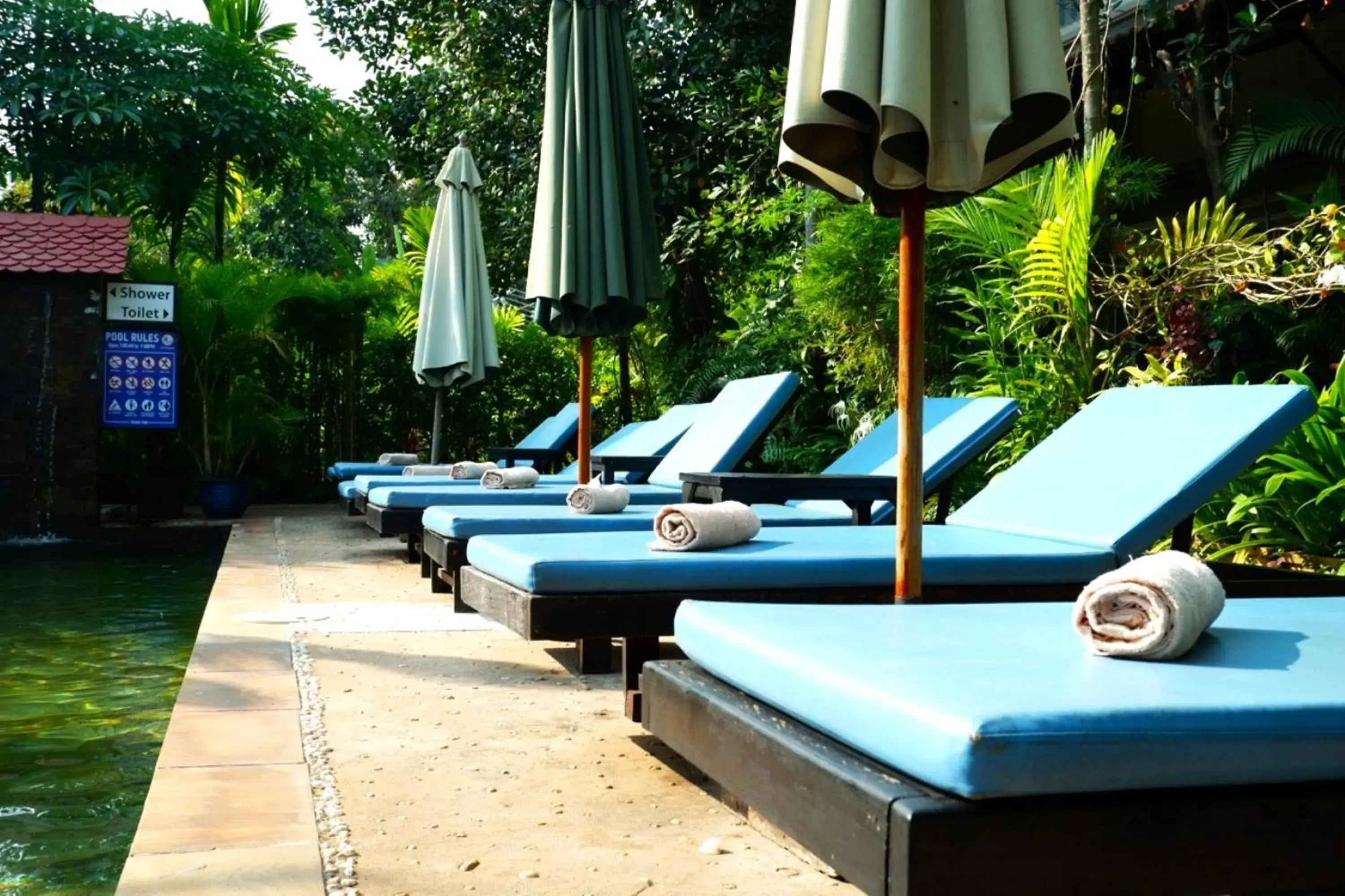 sunbed in Nary Villa sunbed in Nary Villa