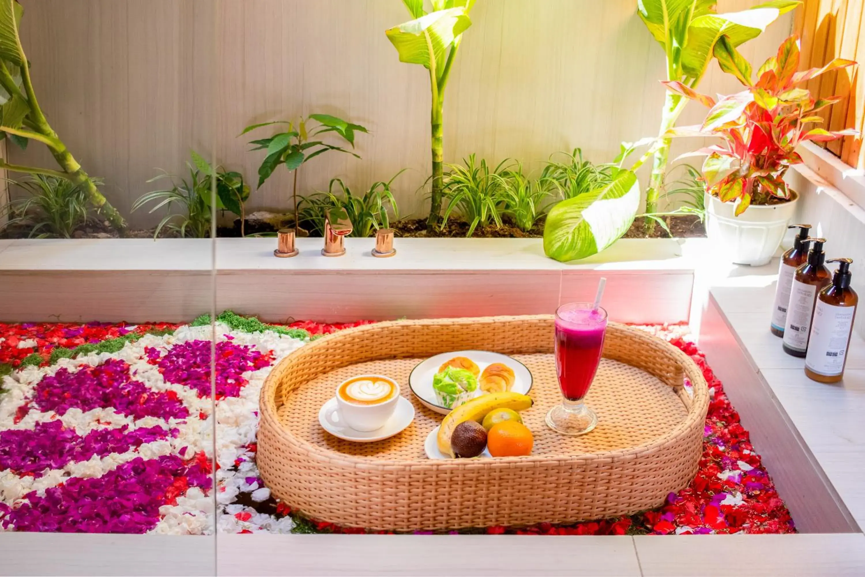 Food and drinks in Canvas Escape Resort Food and drinks in Canvas Escape Resort