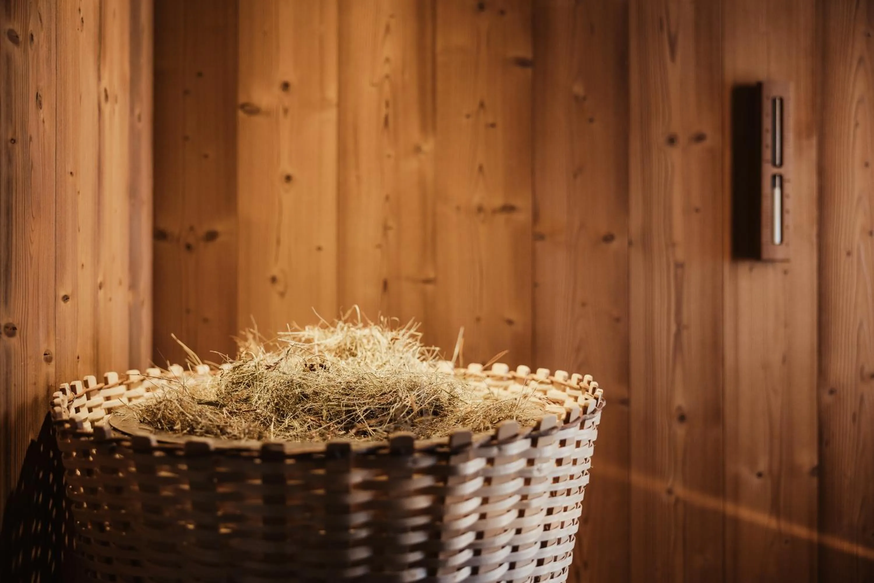 Sauna in Hotel Monte Cherz