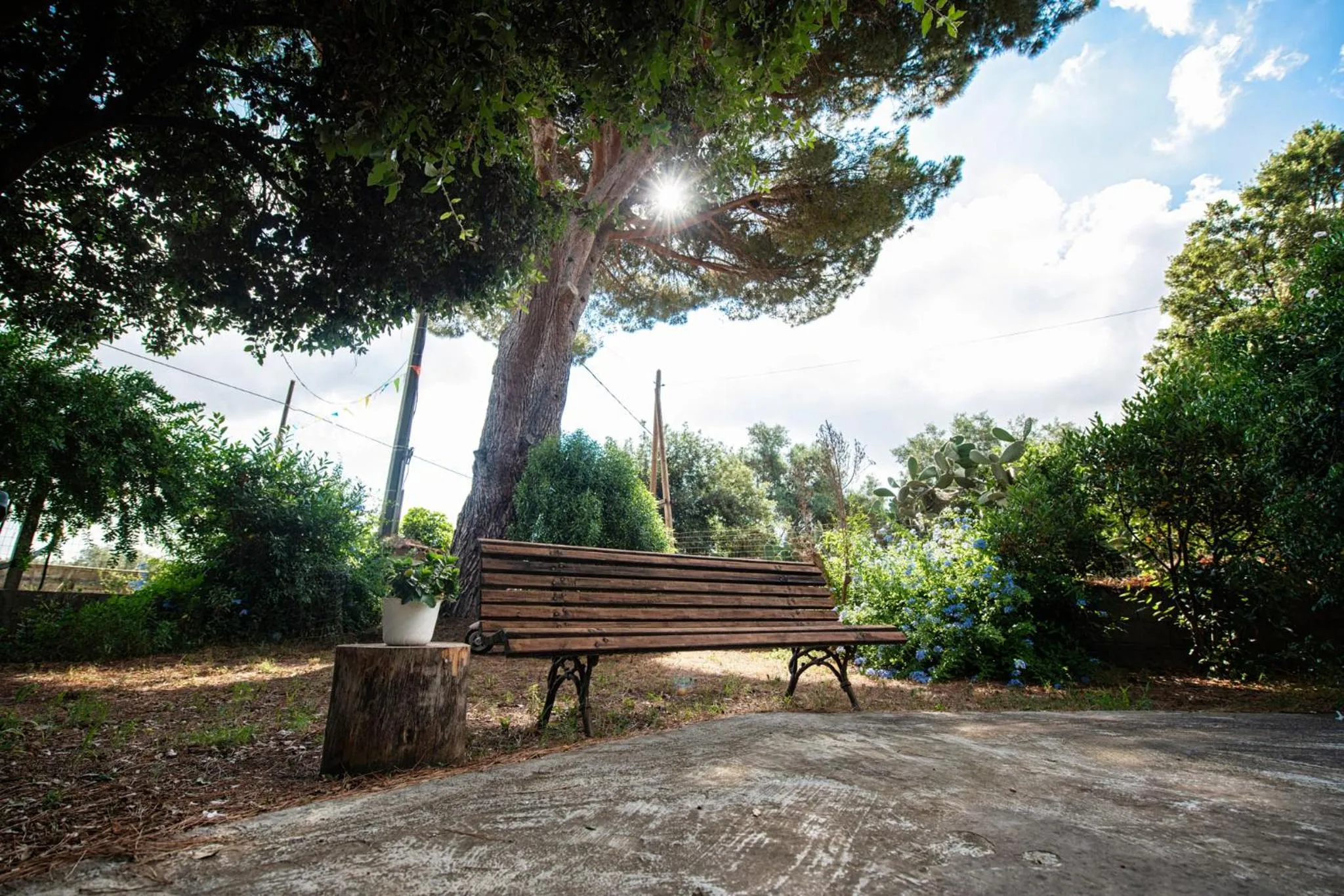 Garden view in B&B Da Marcella