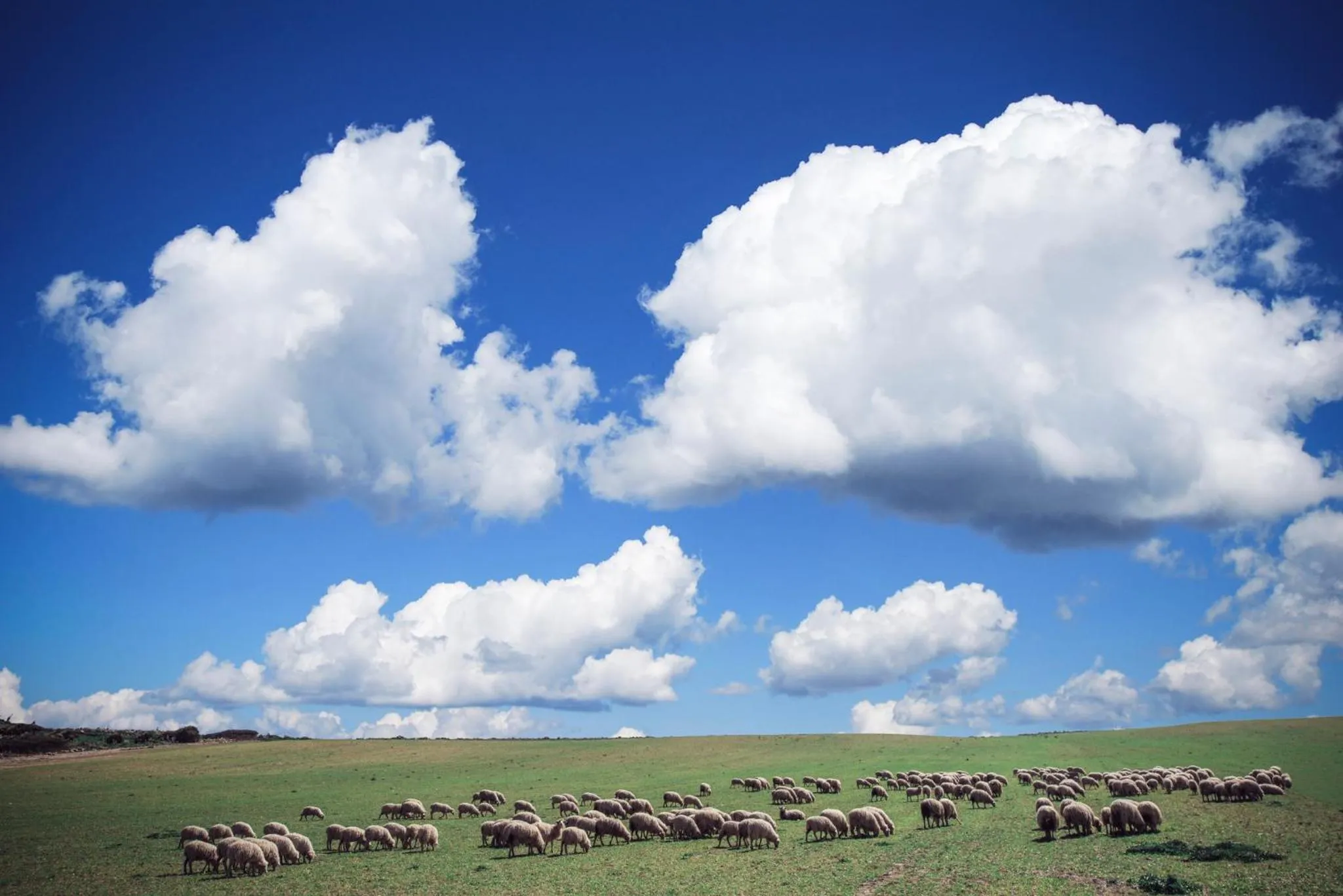 Nearby landmark in B&B Da Marcella