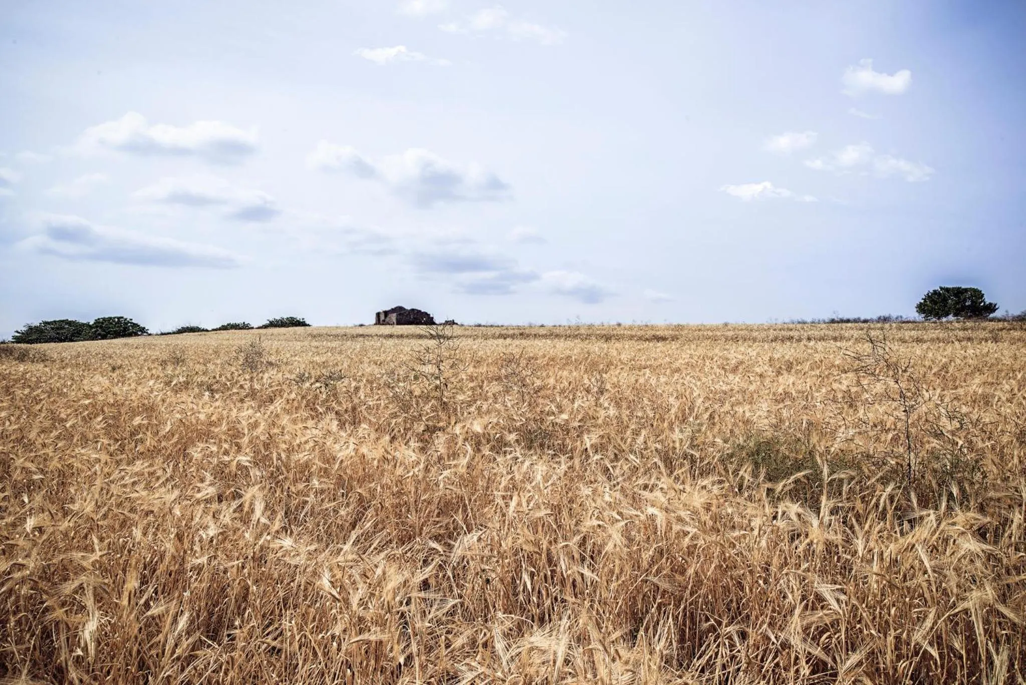 Nearby landmark in B&B Da Marcella