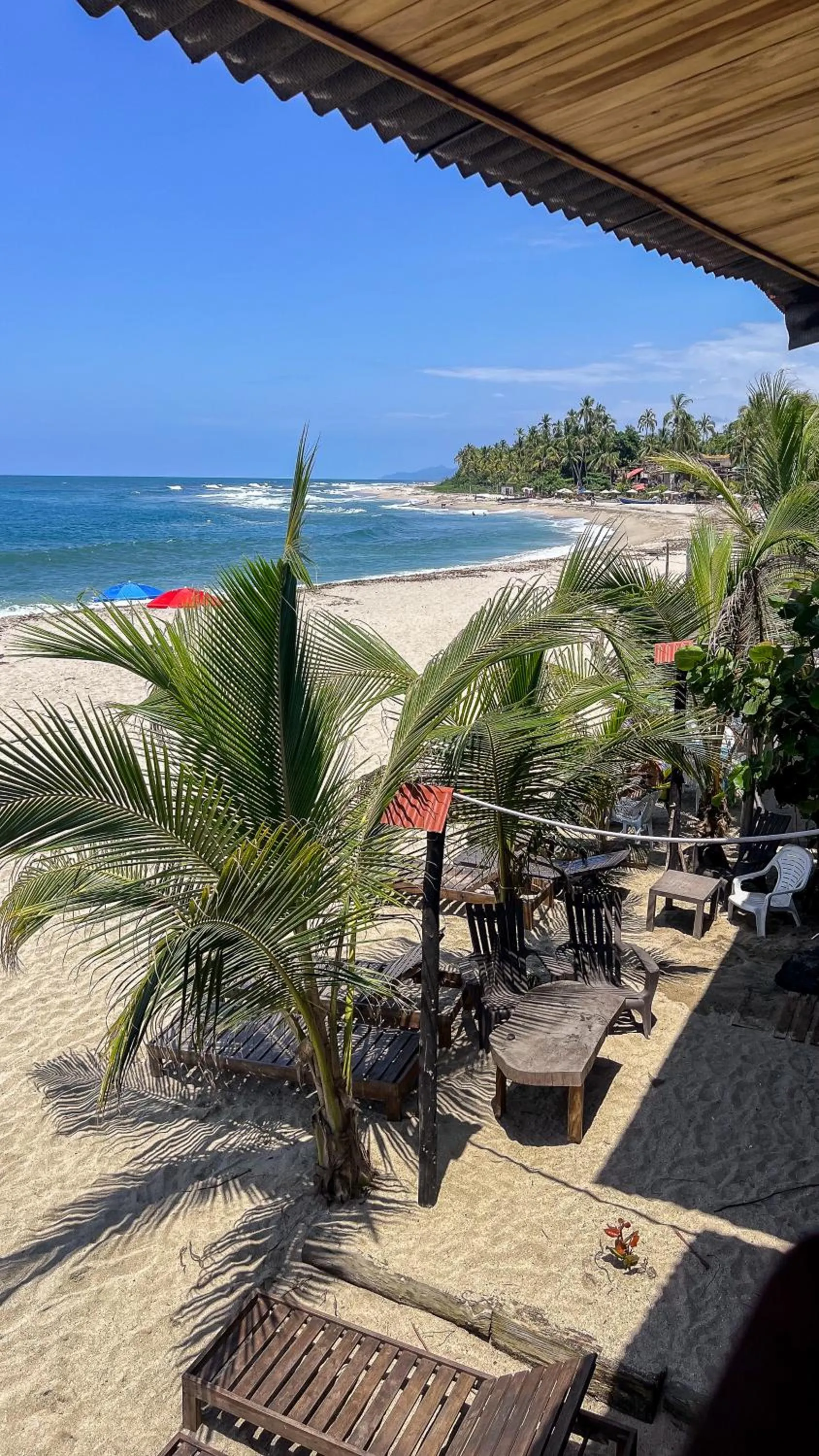 Natural landscape in Hostal MOCAMBO BEACH