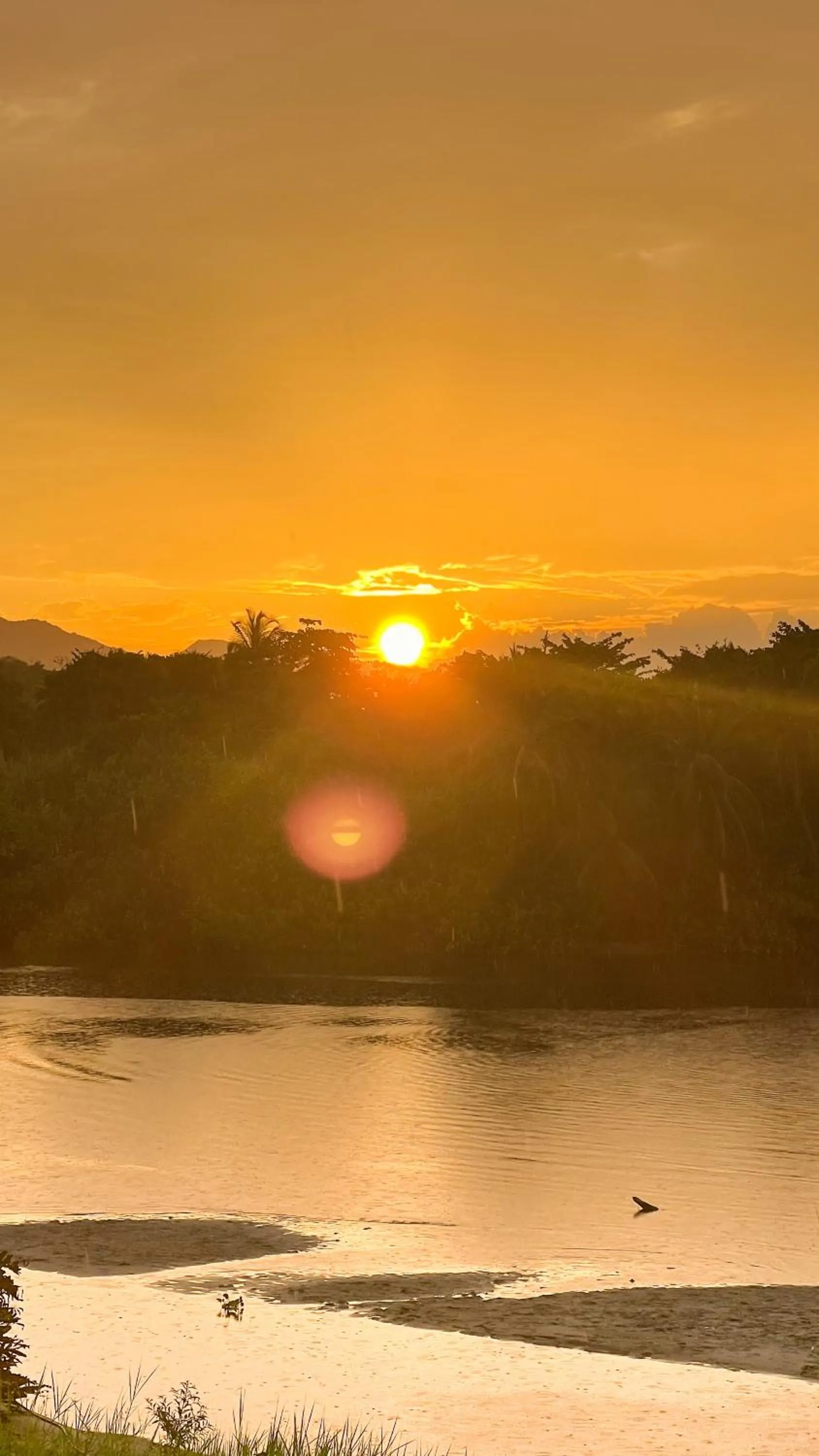 Natural landscape in Hostal MOCAMBO BEACH