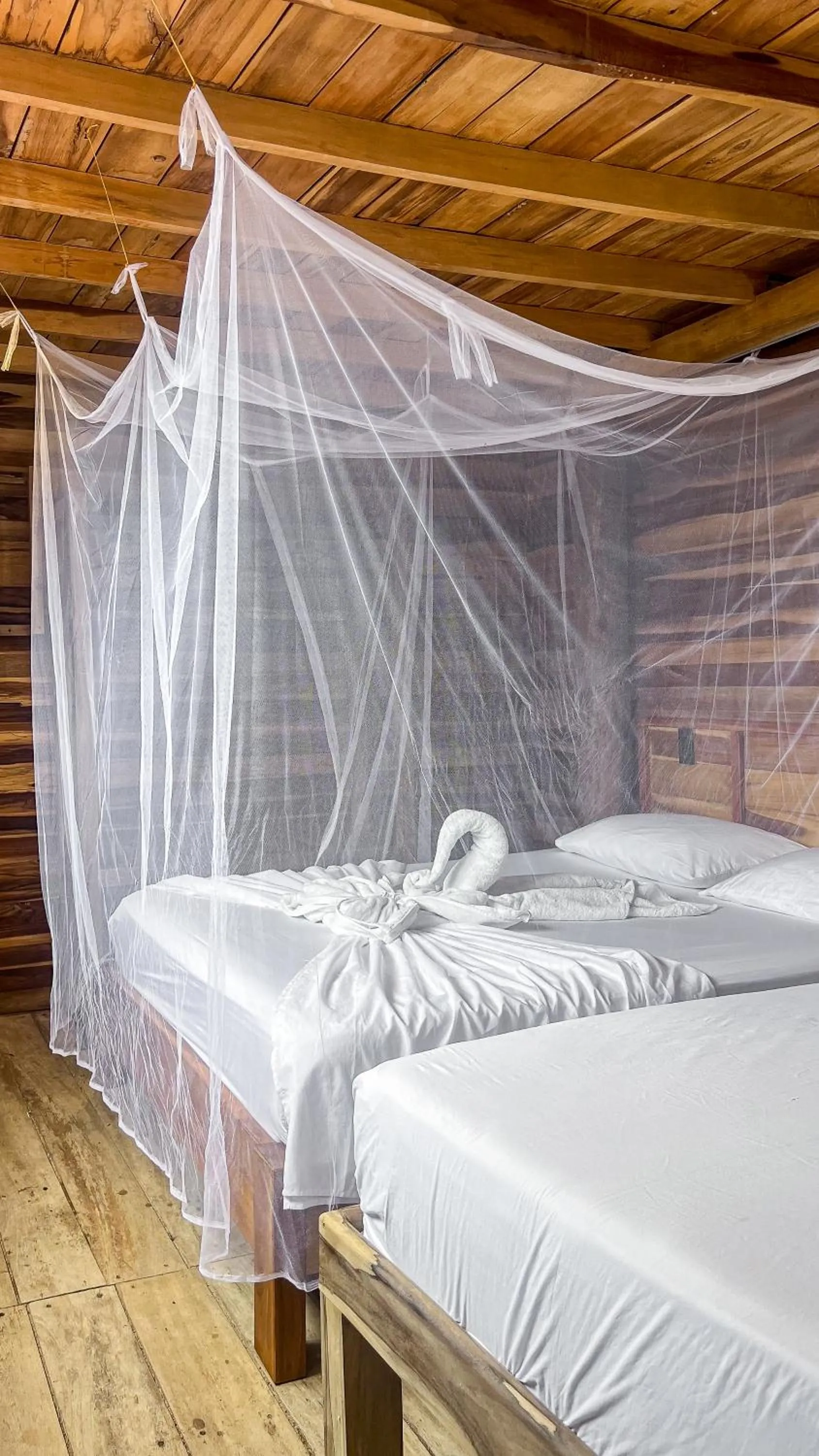 Bed in Hostal MOCAMBO BEACH