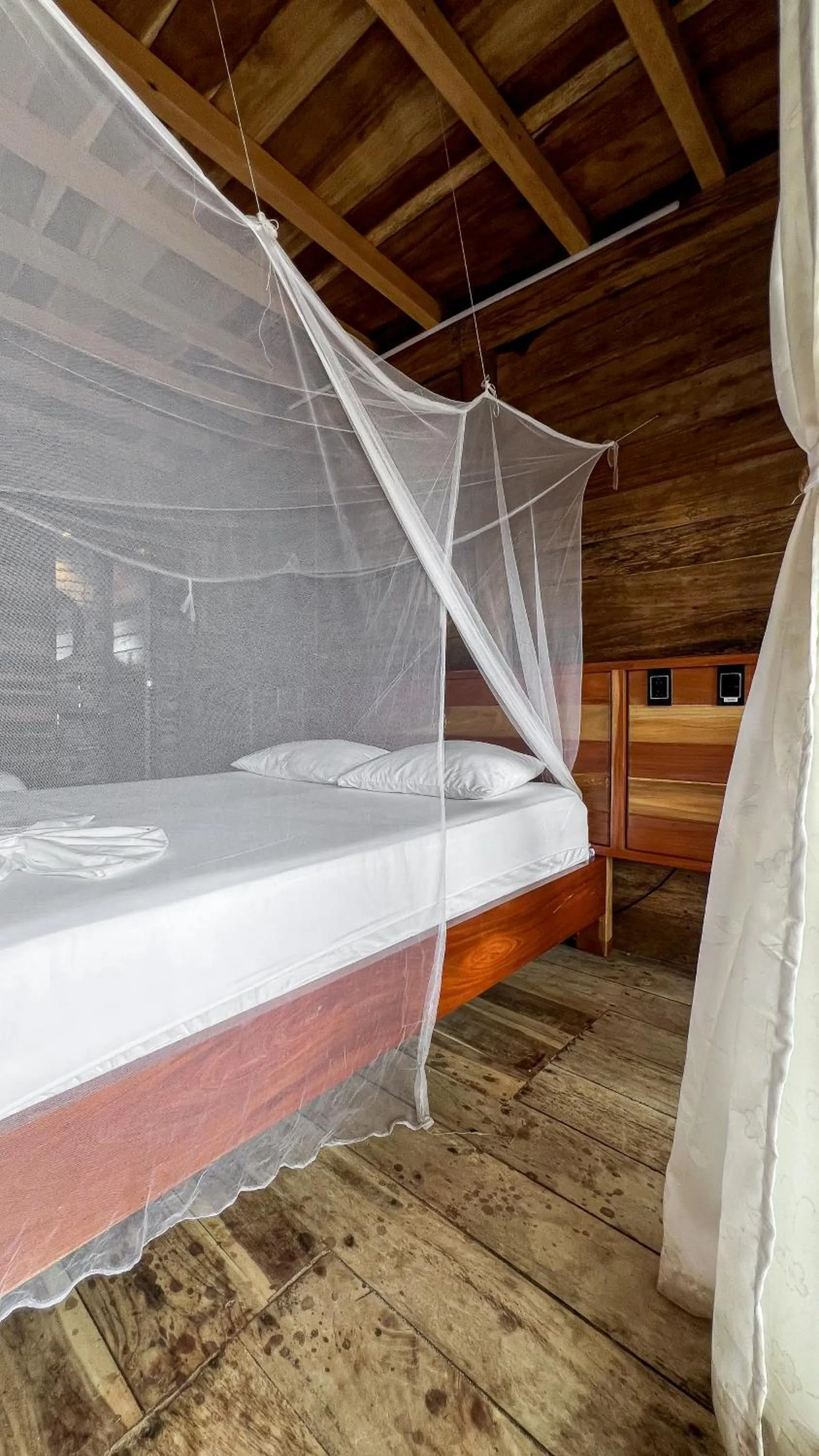 Bed in Hostal MOCAMBO BEACH