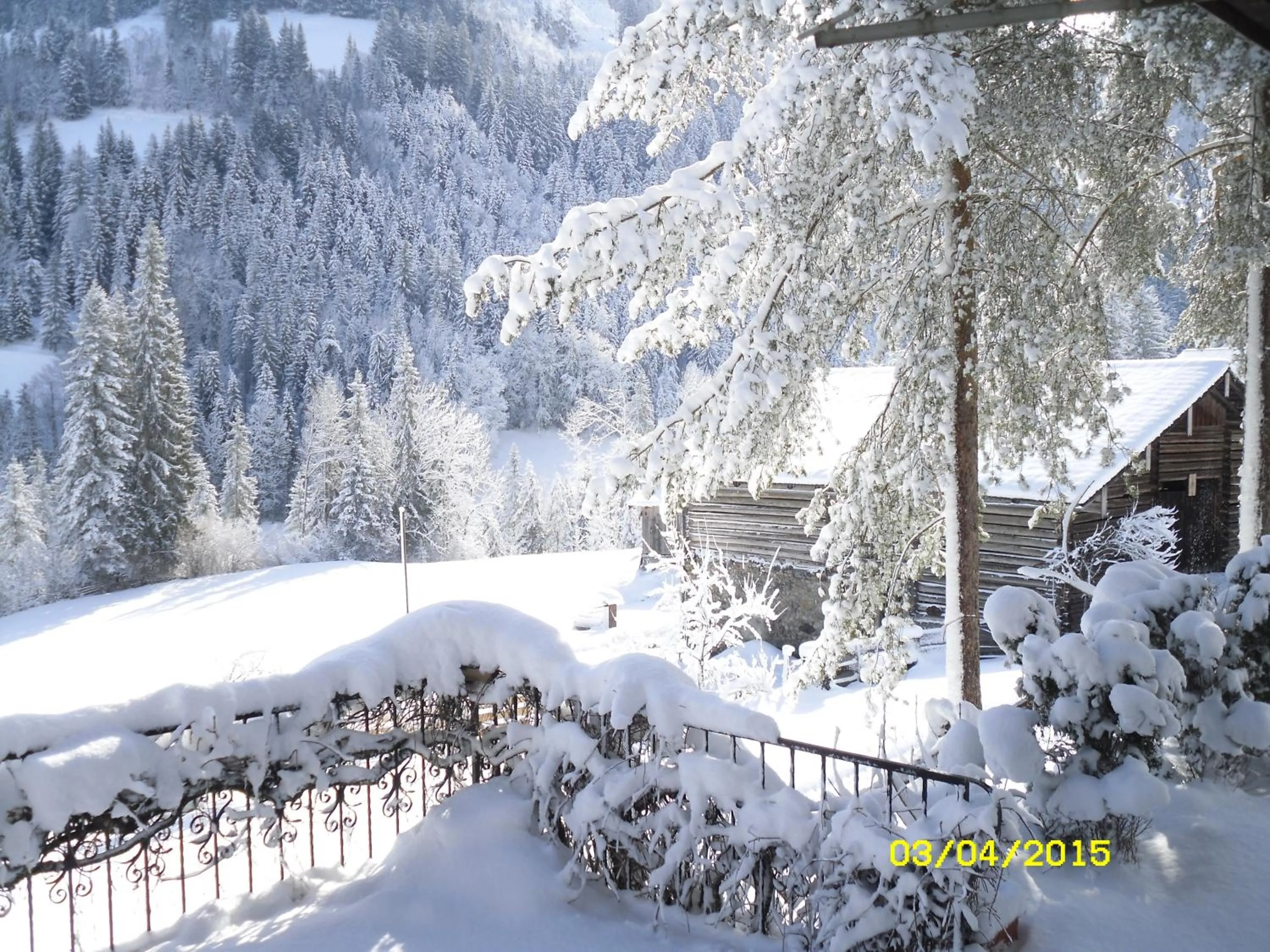 Winter in Vorderwiesgut