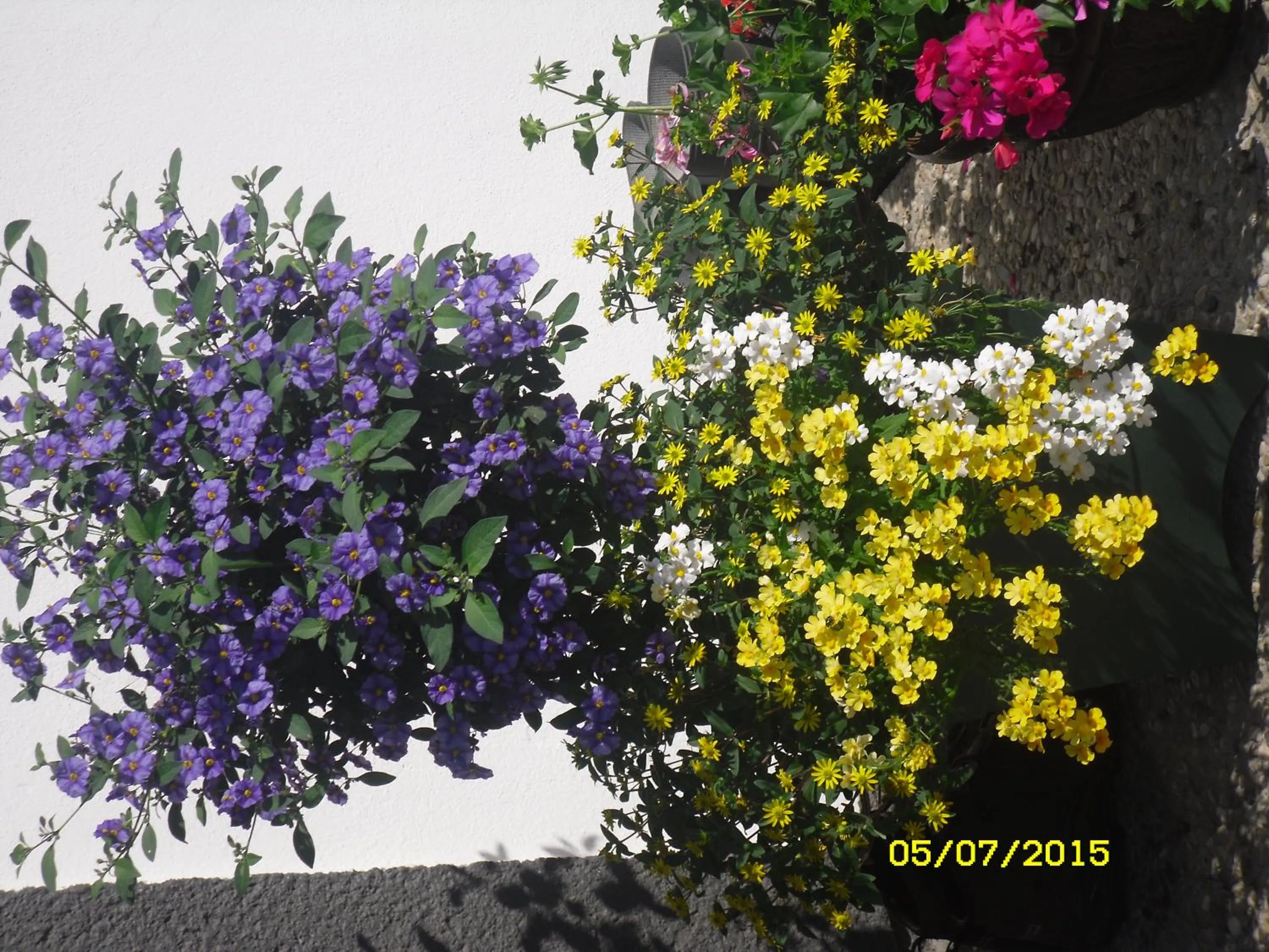 Balcony/Terrace in Vorderwiesgut