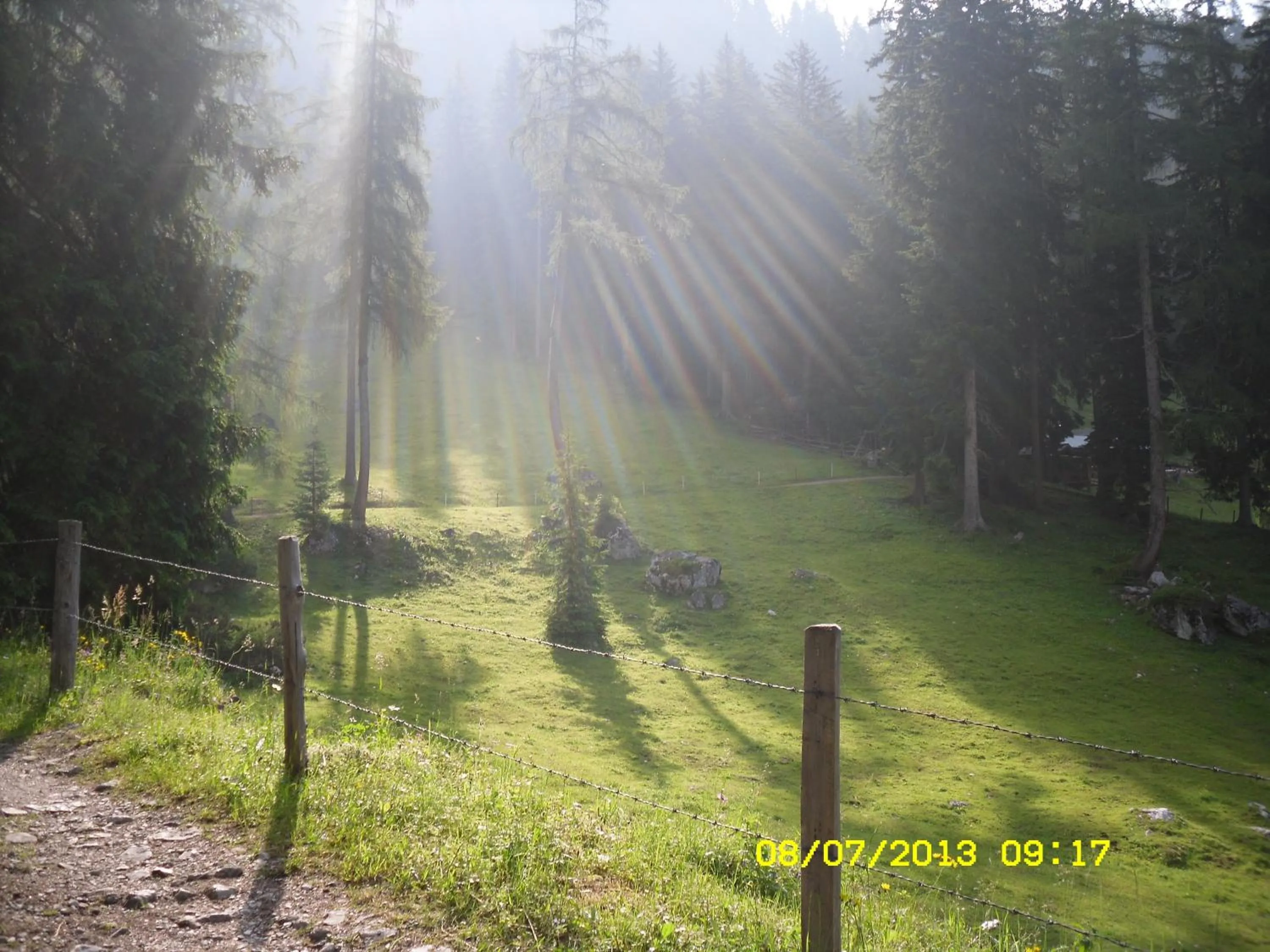 Natural landscape in Vorderwiesgut
