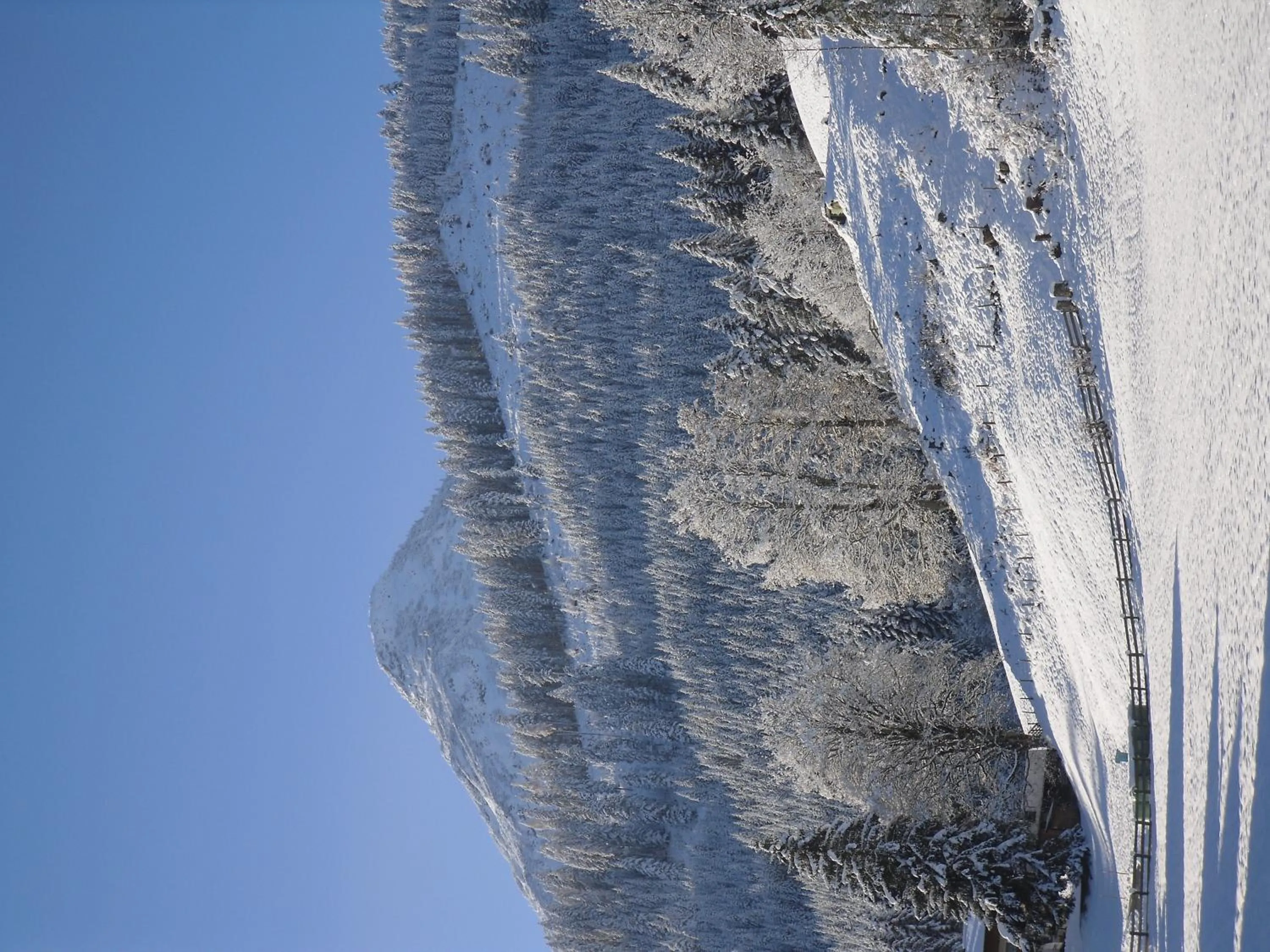 Mountain view in Vorderwiesgut