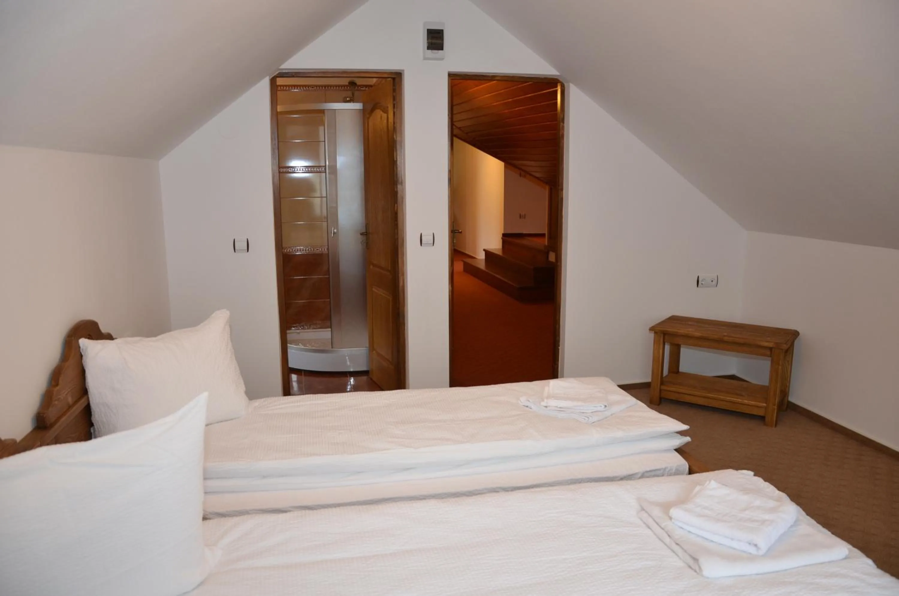 Double Room with Private Bathroom - single occupancy in LaPociu