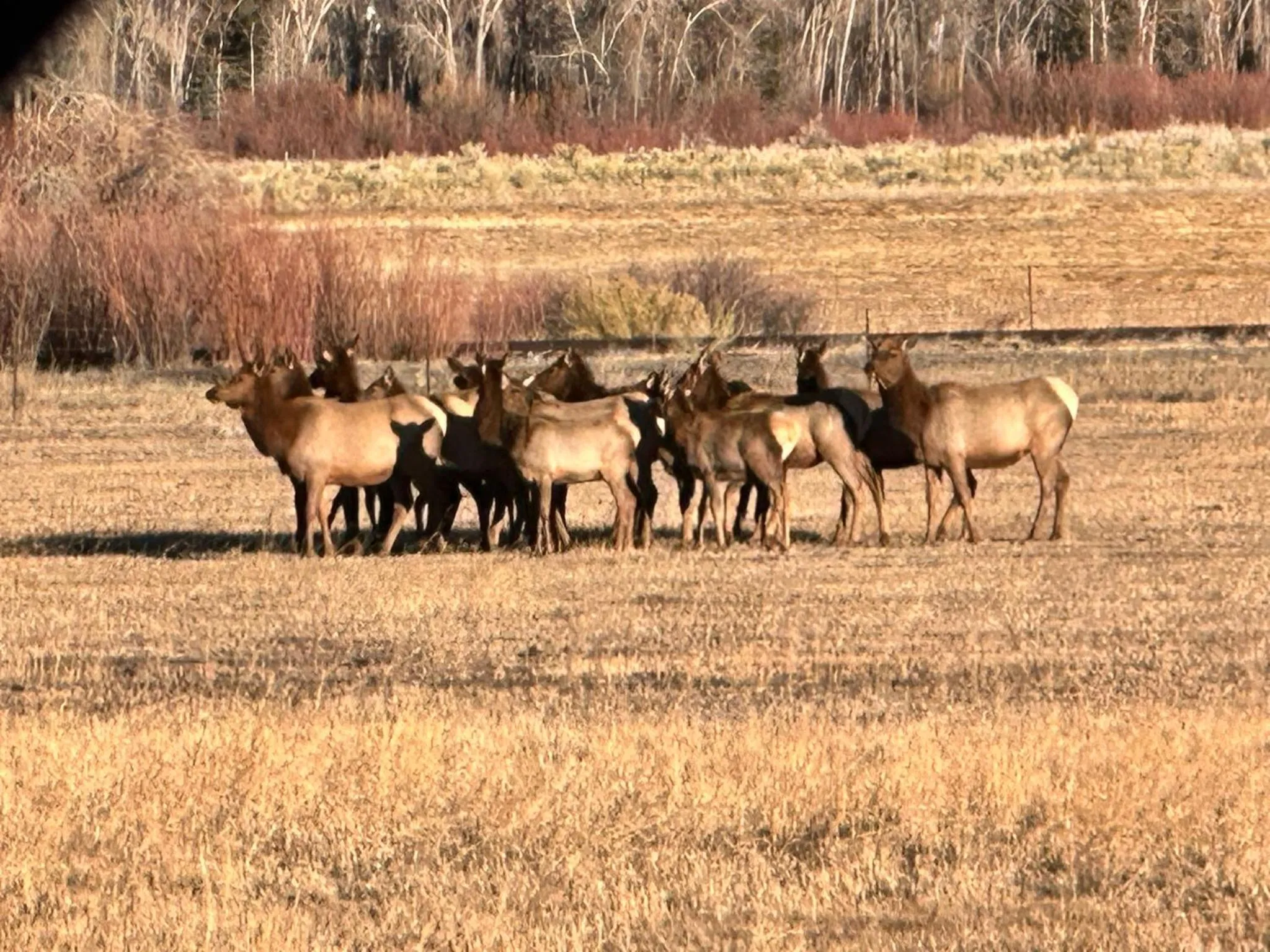Ute Bluff Lodge, Cabins and RV park
