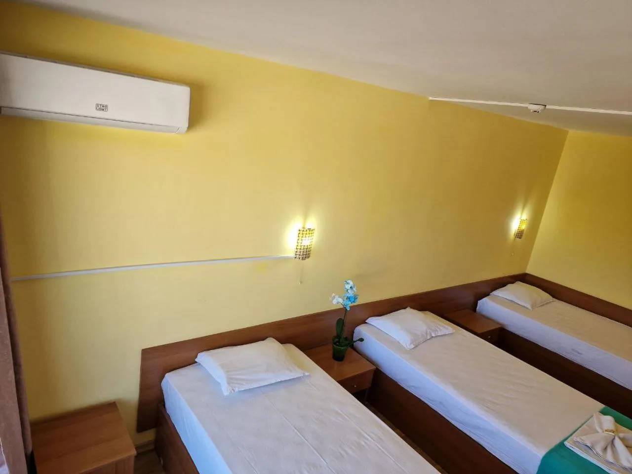 Bed in Complex Dobrudja