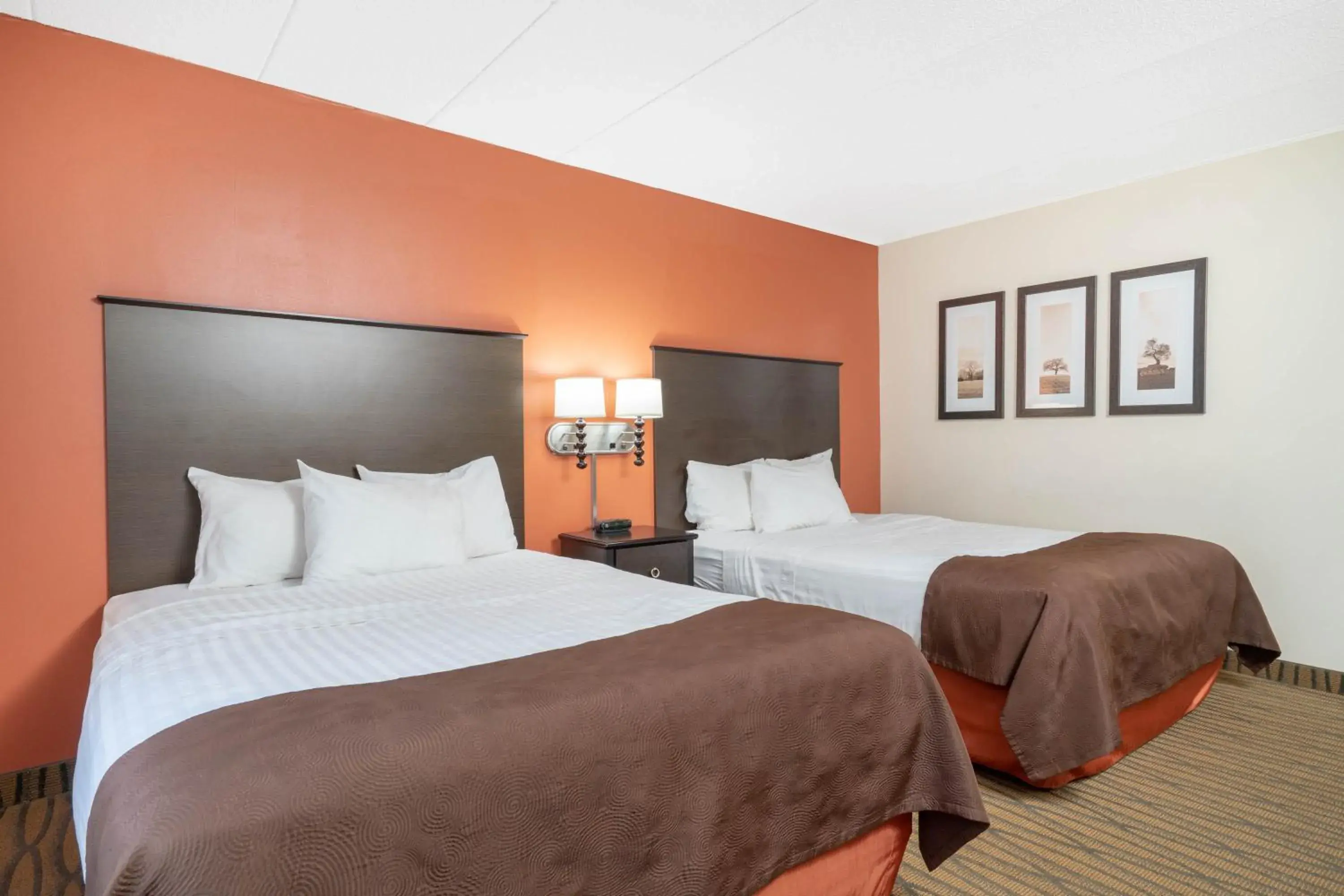 Deluxe Queen Room in Aspen Hotel Rogers Formerly Americ inn Deluxe Queen Room in Aspen Hotel Rogers Formerly Americ inn