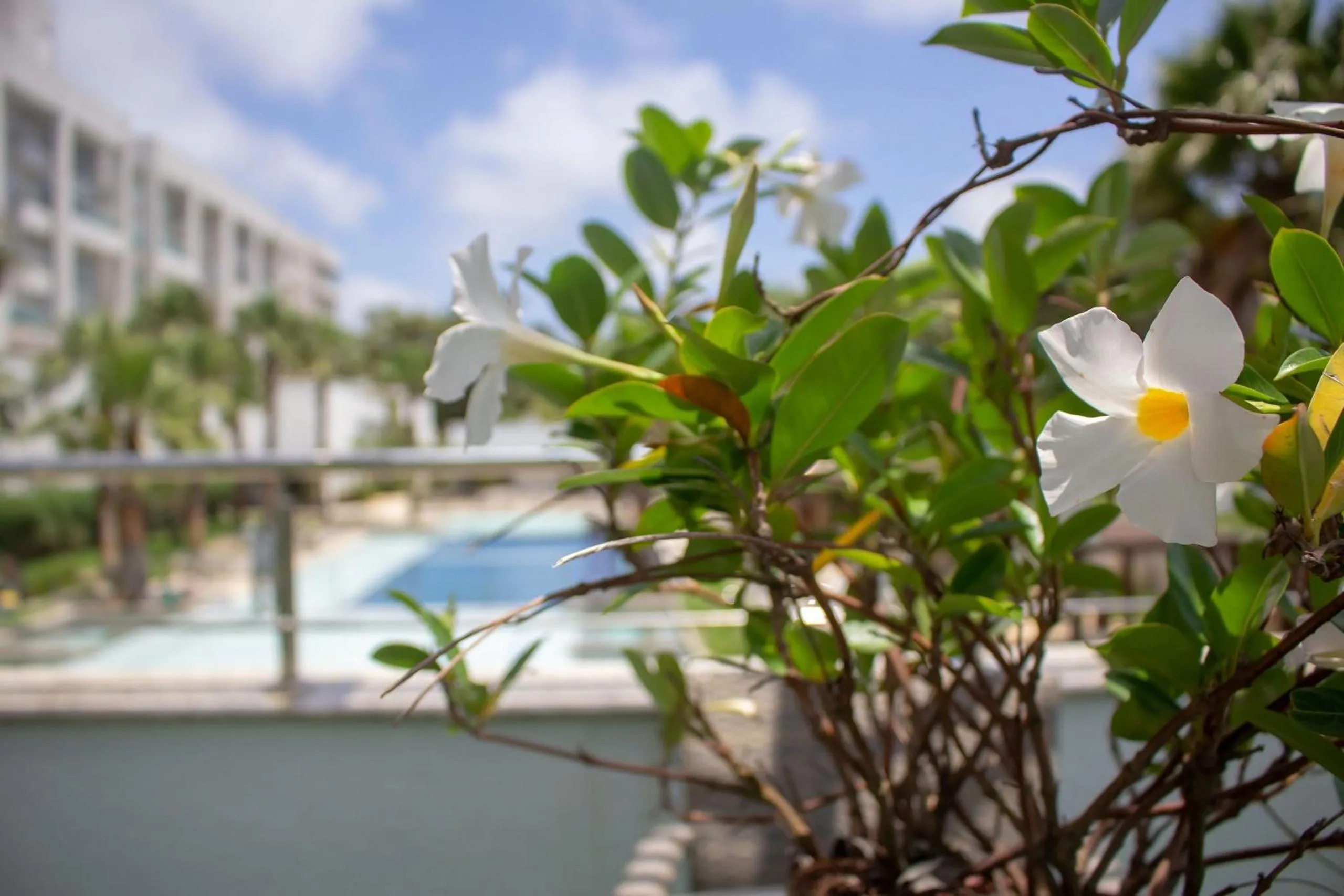 Pool view in Atlântida Green Square - 408B