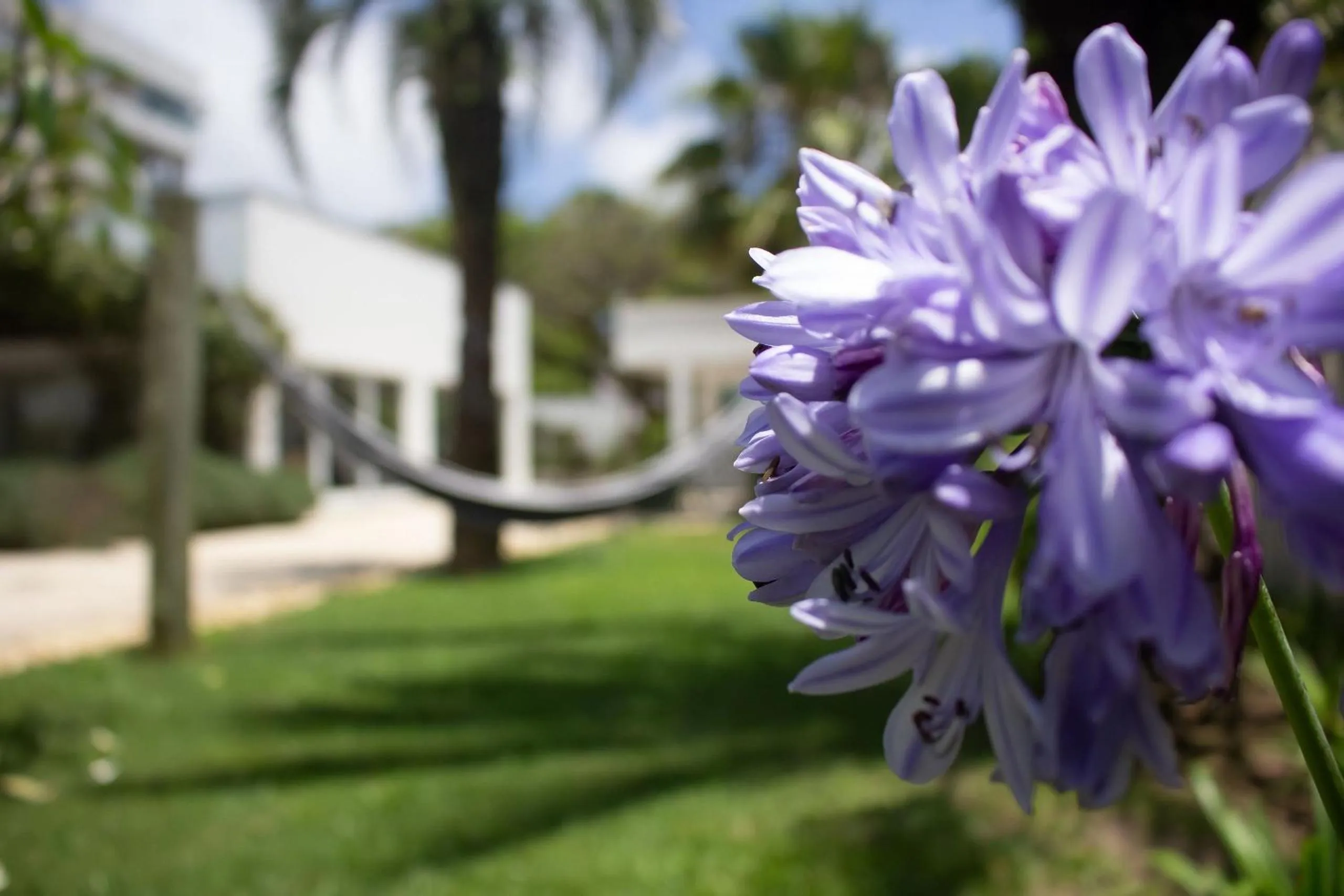 Area and facilities in Atlântida Green Square - 408B