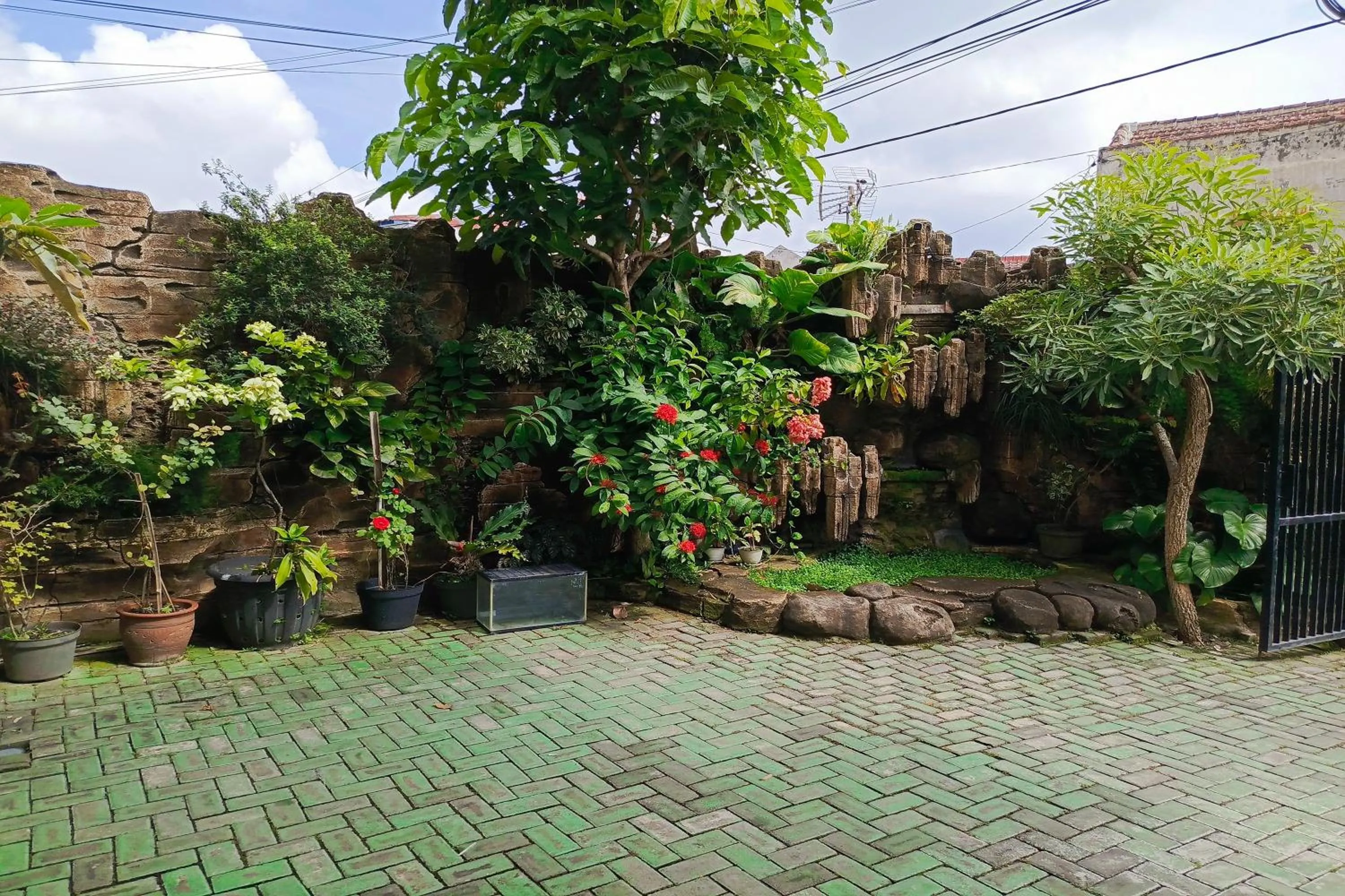 Garden in Adisa Homestay