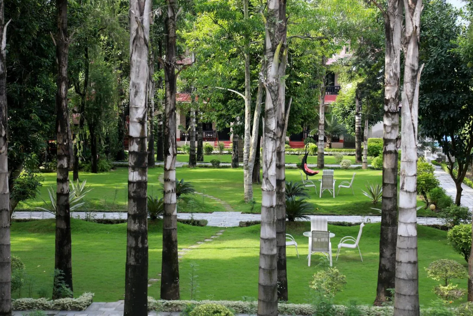 Garden in Hotel Parkland