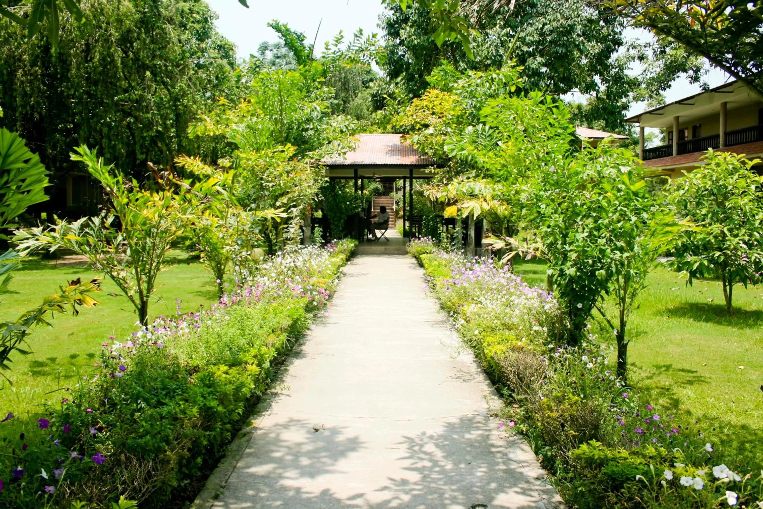 Garden in Hotel Parkland