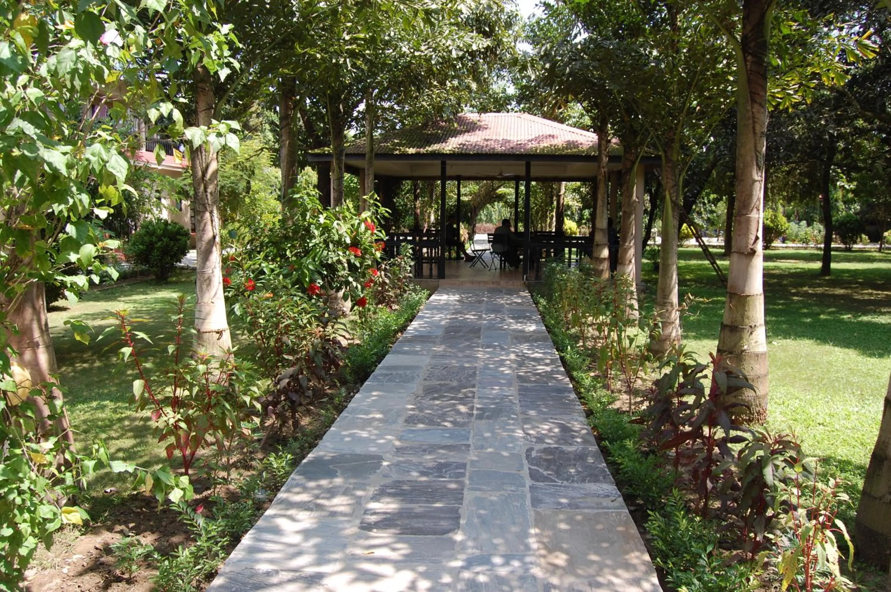 Food and drinks in Hotel Parkland