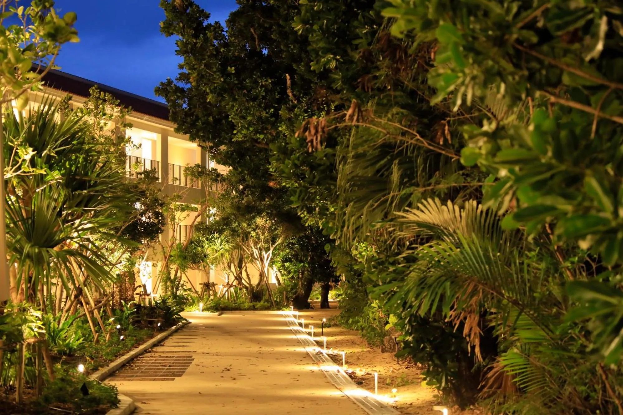 Night in VIVOVIVA石垣島