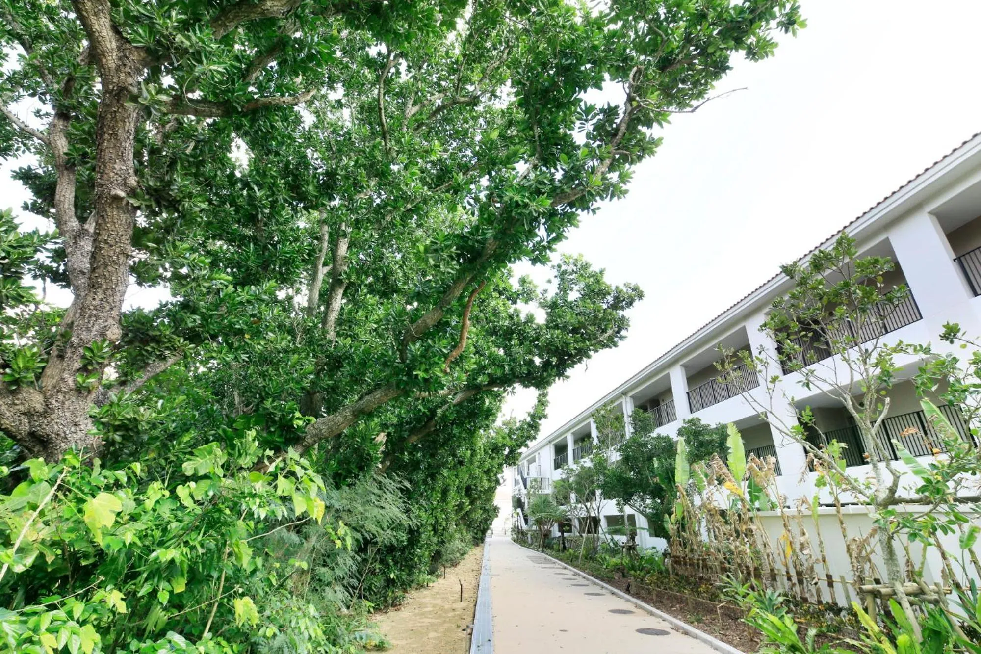 Day in VIVOVIVA石垣島