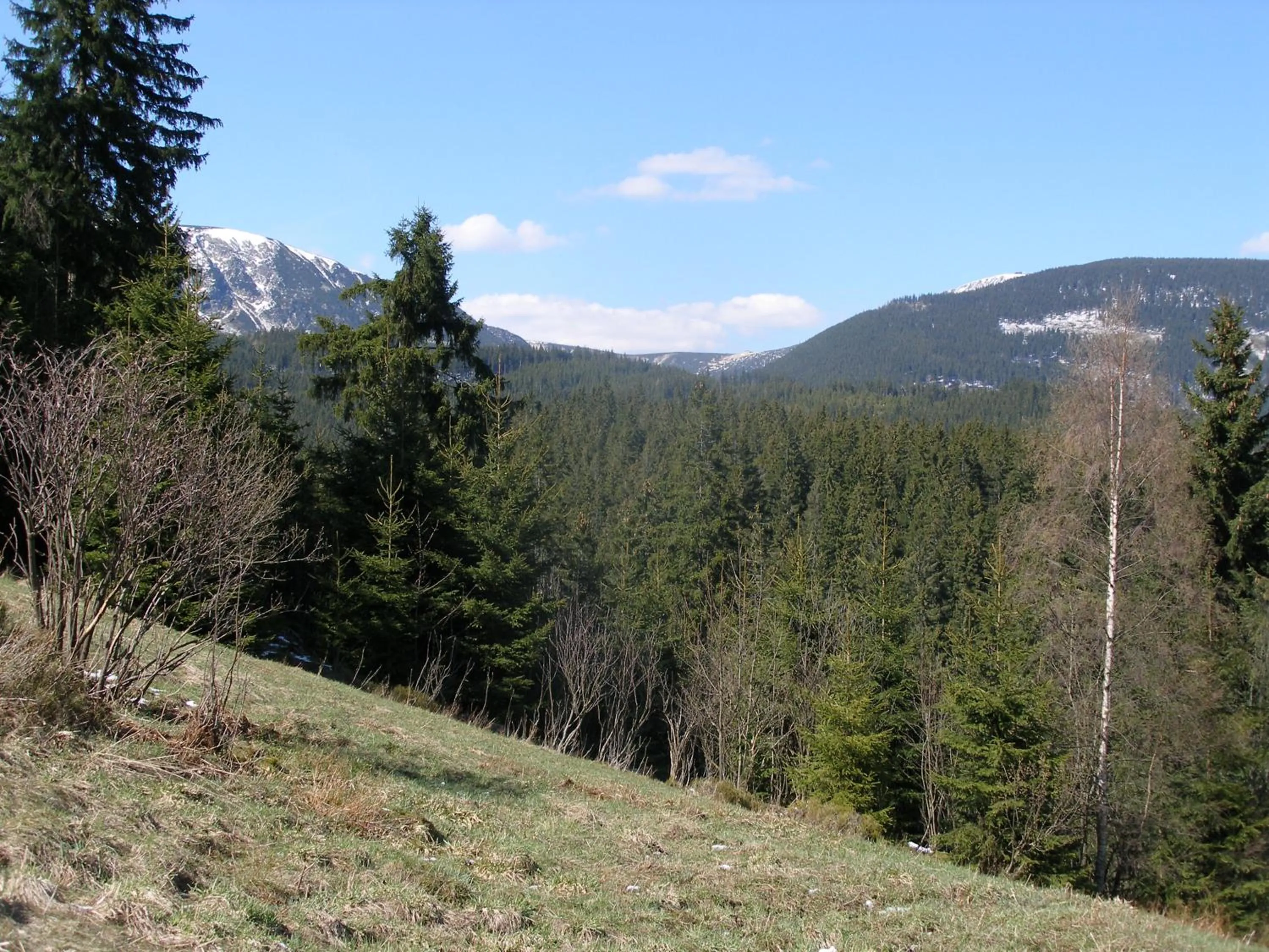 Hiking in Pecka Penzion