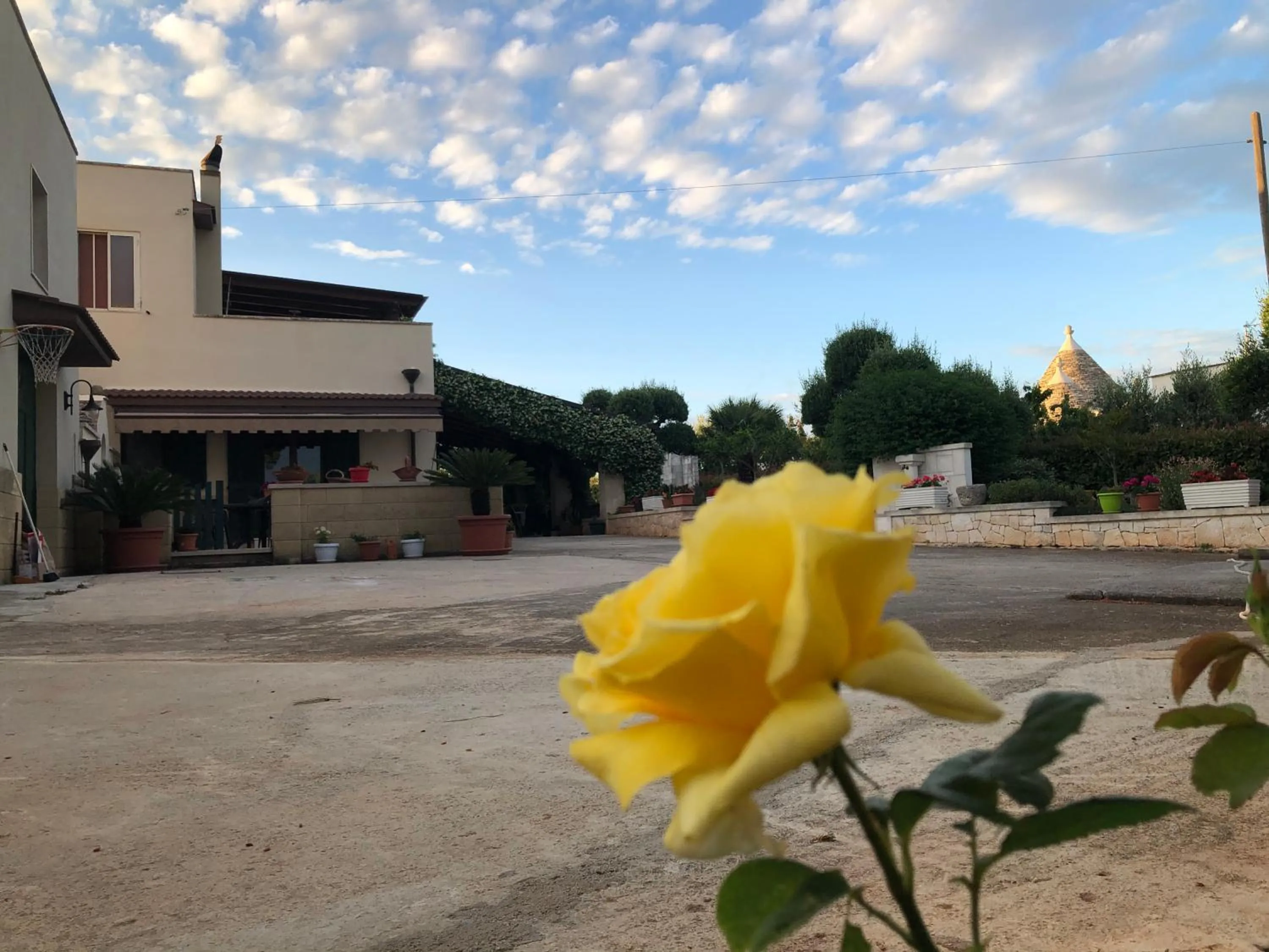 Property building in Casa delle Rondini